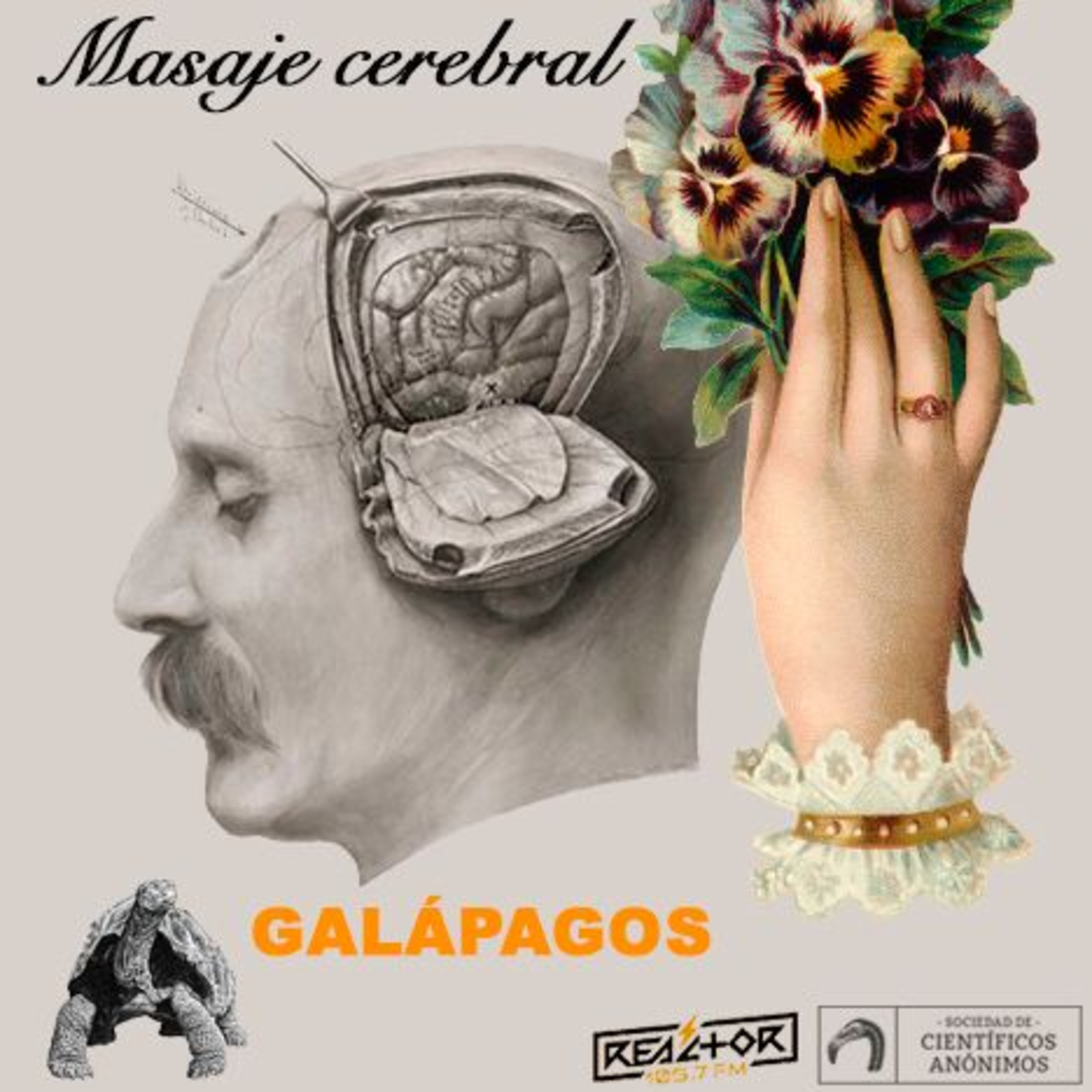 Masaje cerebral