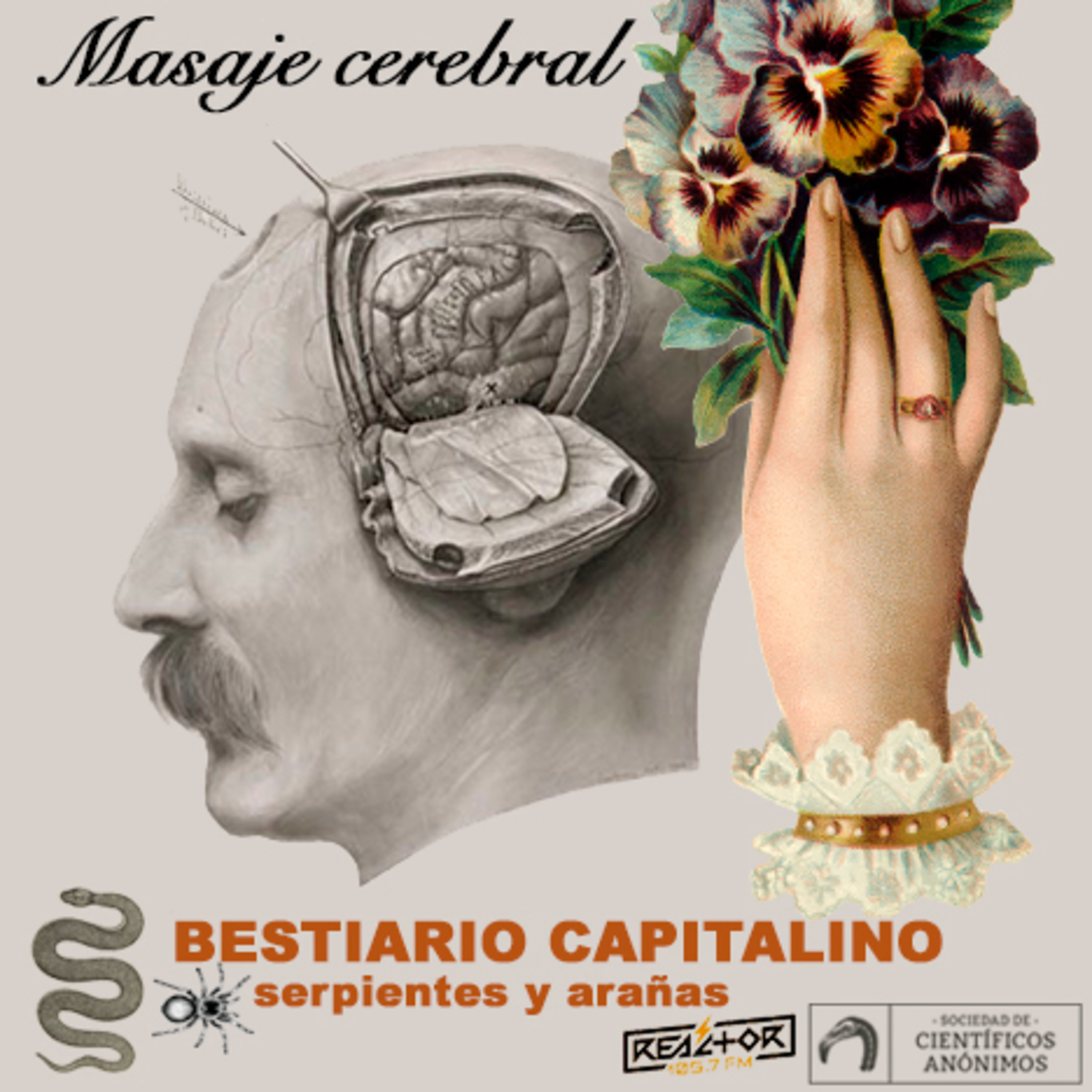 Masaje cerebral