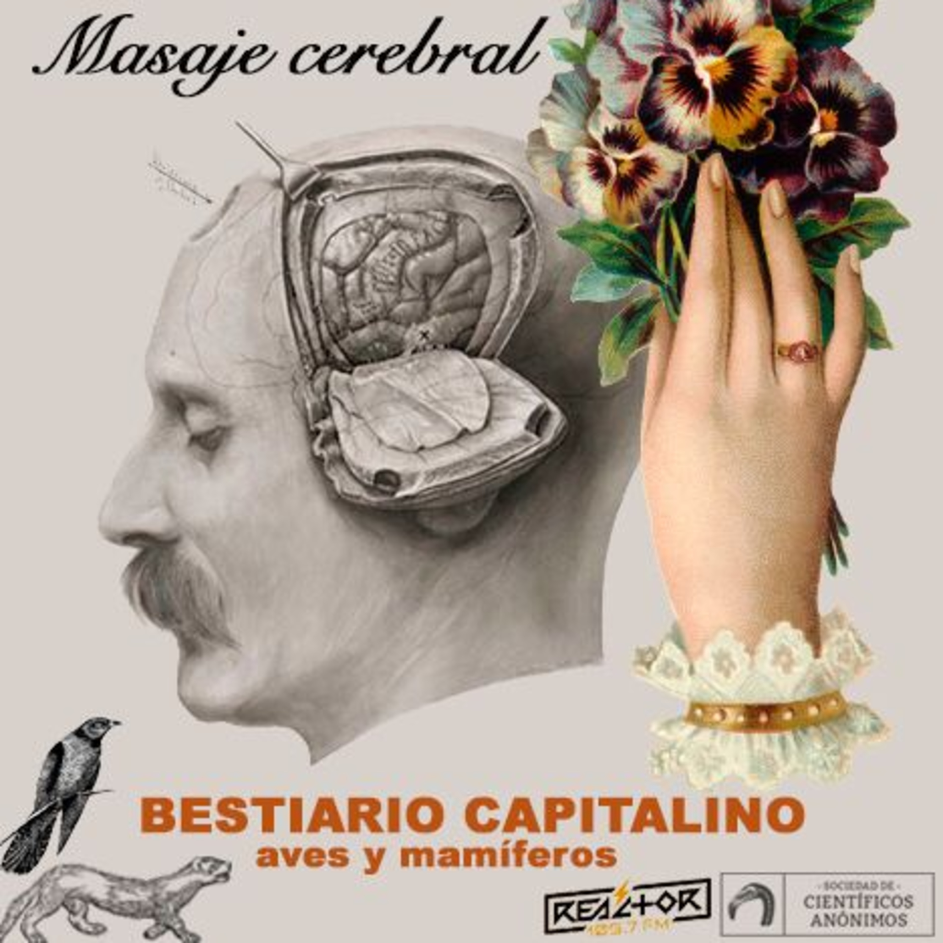 Masaje cerebral