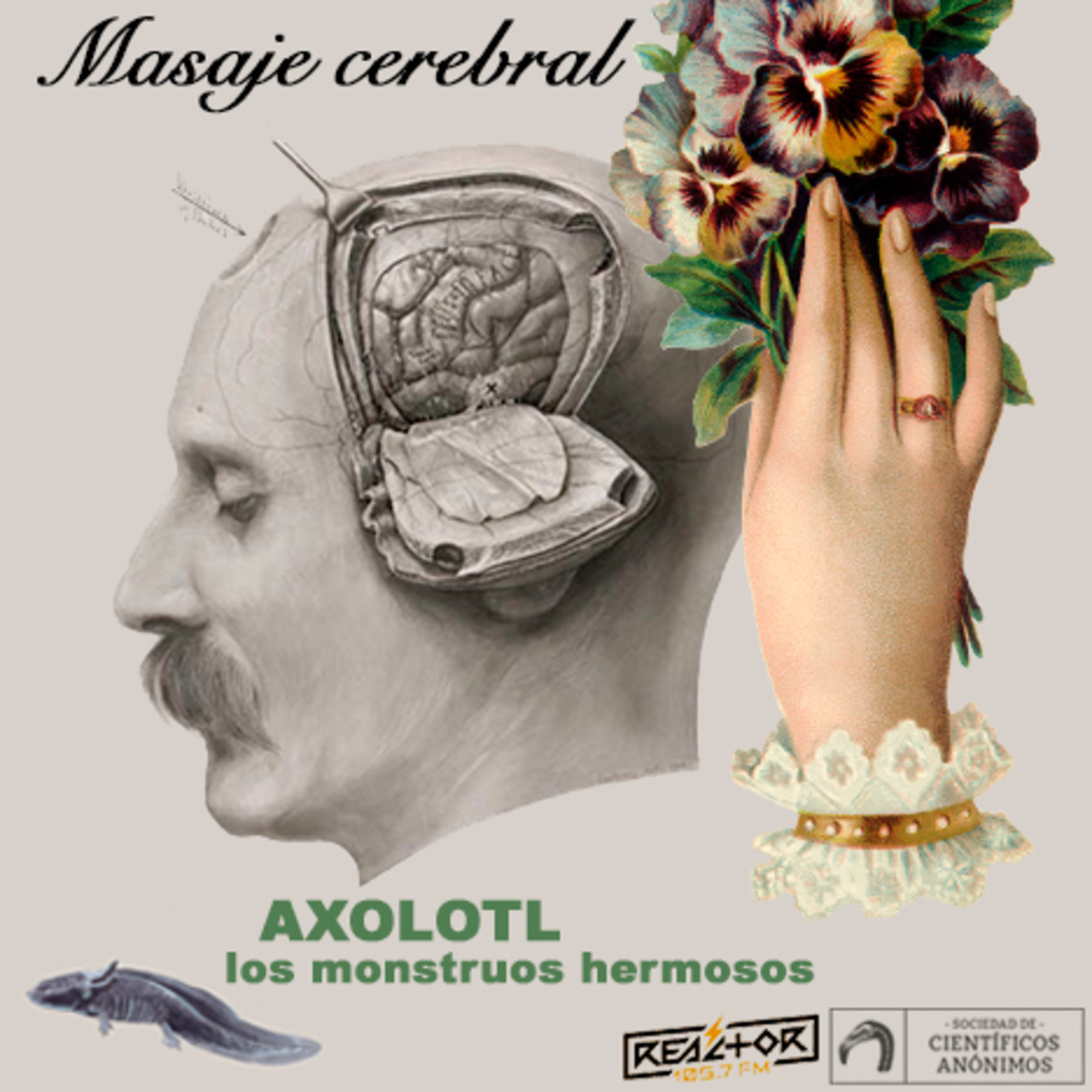 Masaje cerebral