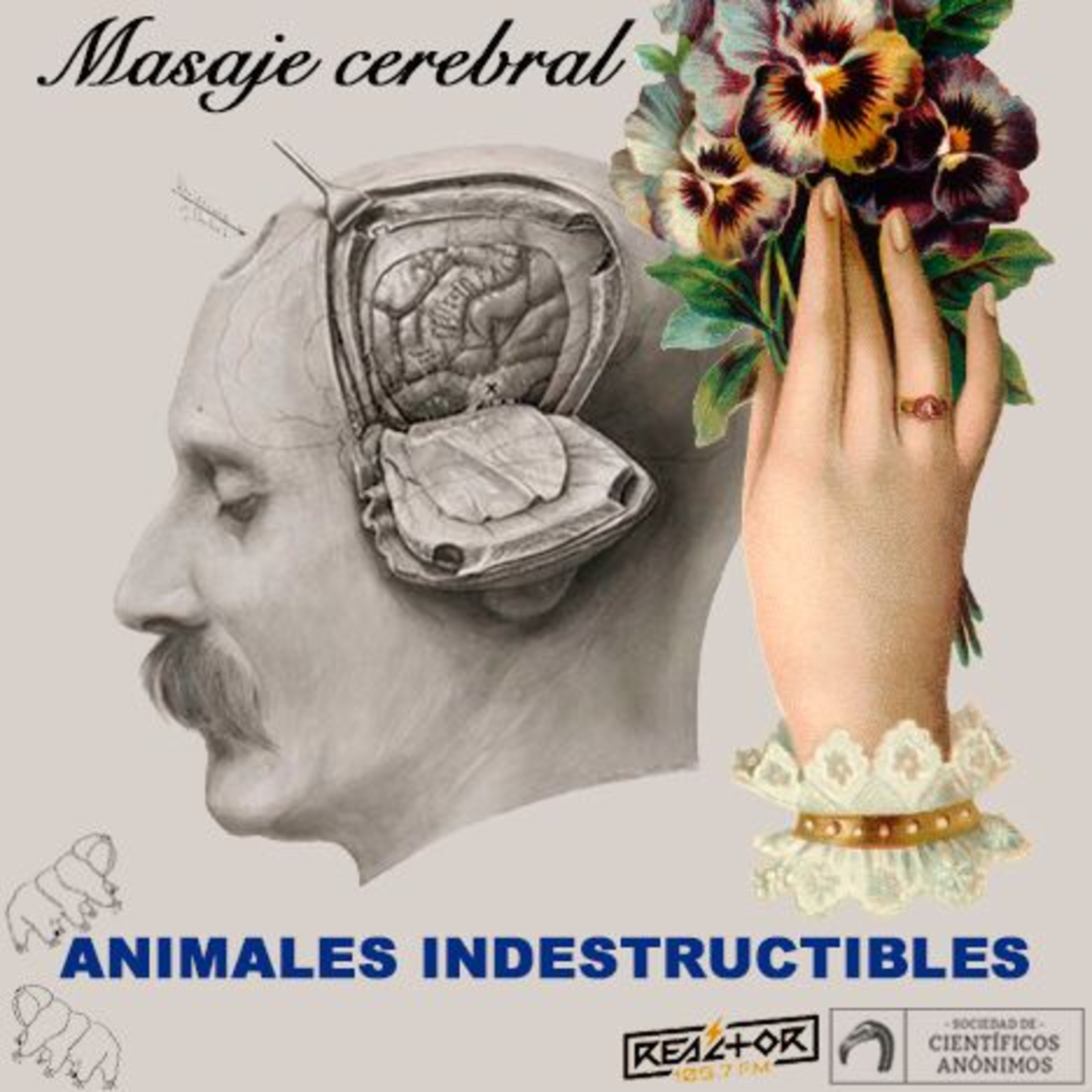 Masaje cerebral