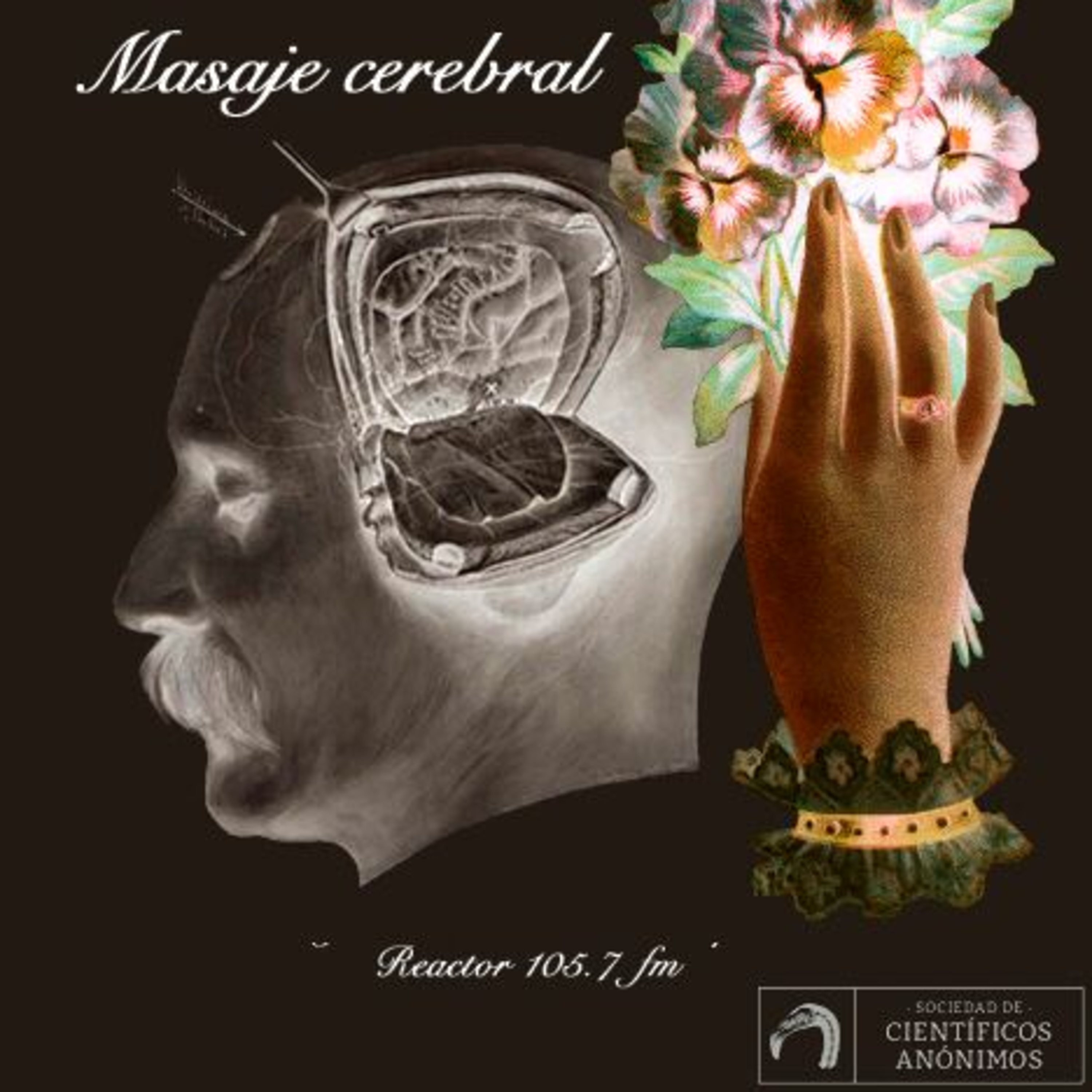Masaje cerebral