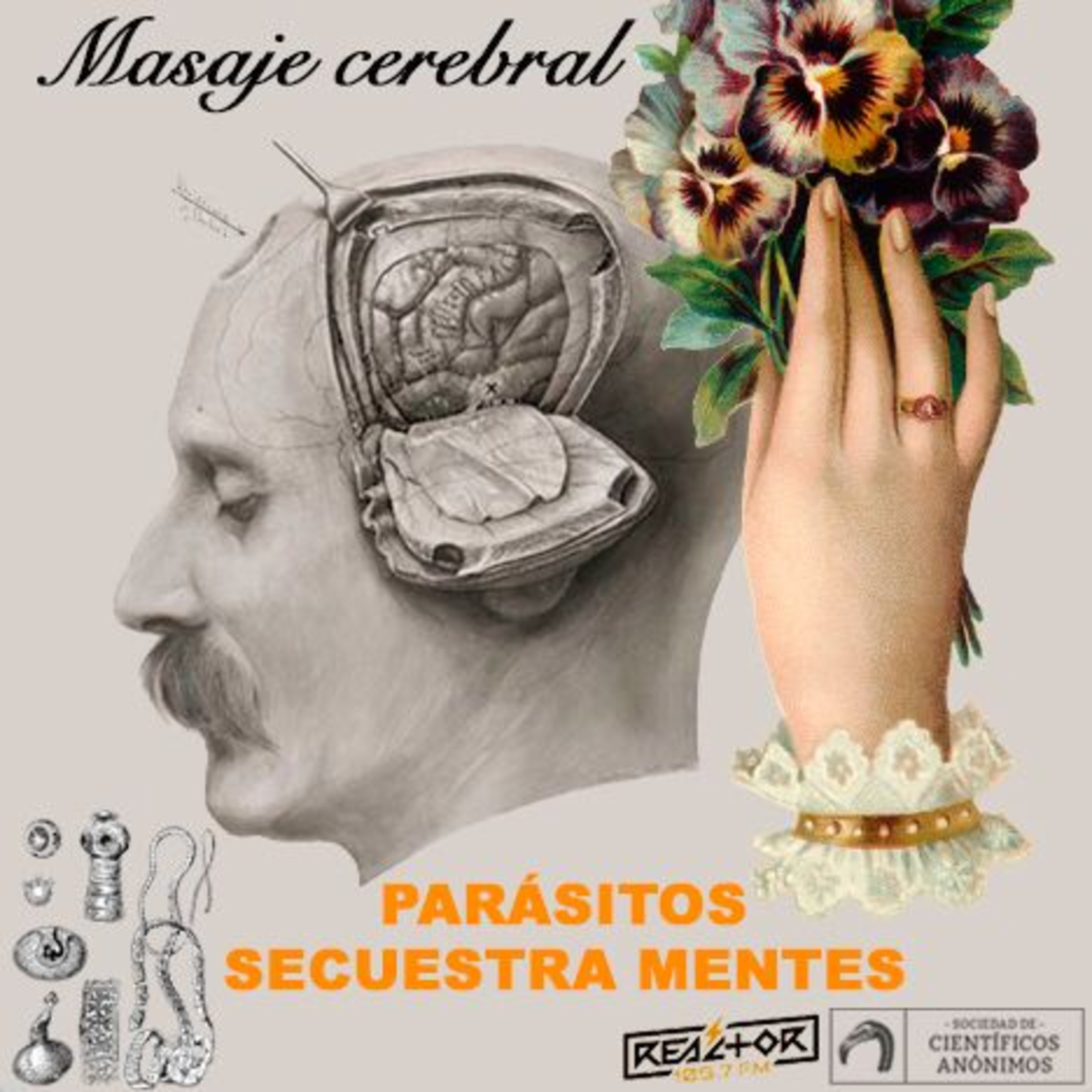 Masaje cerebral