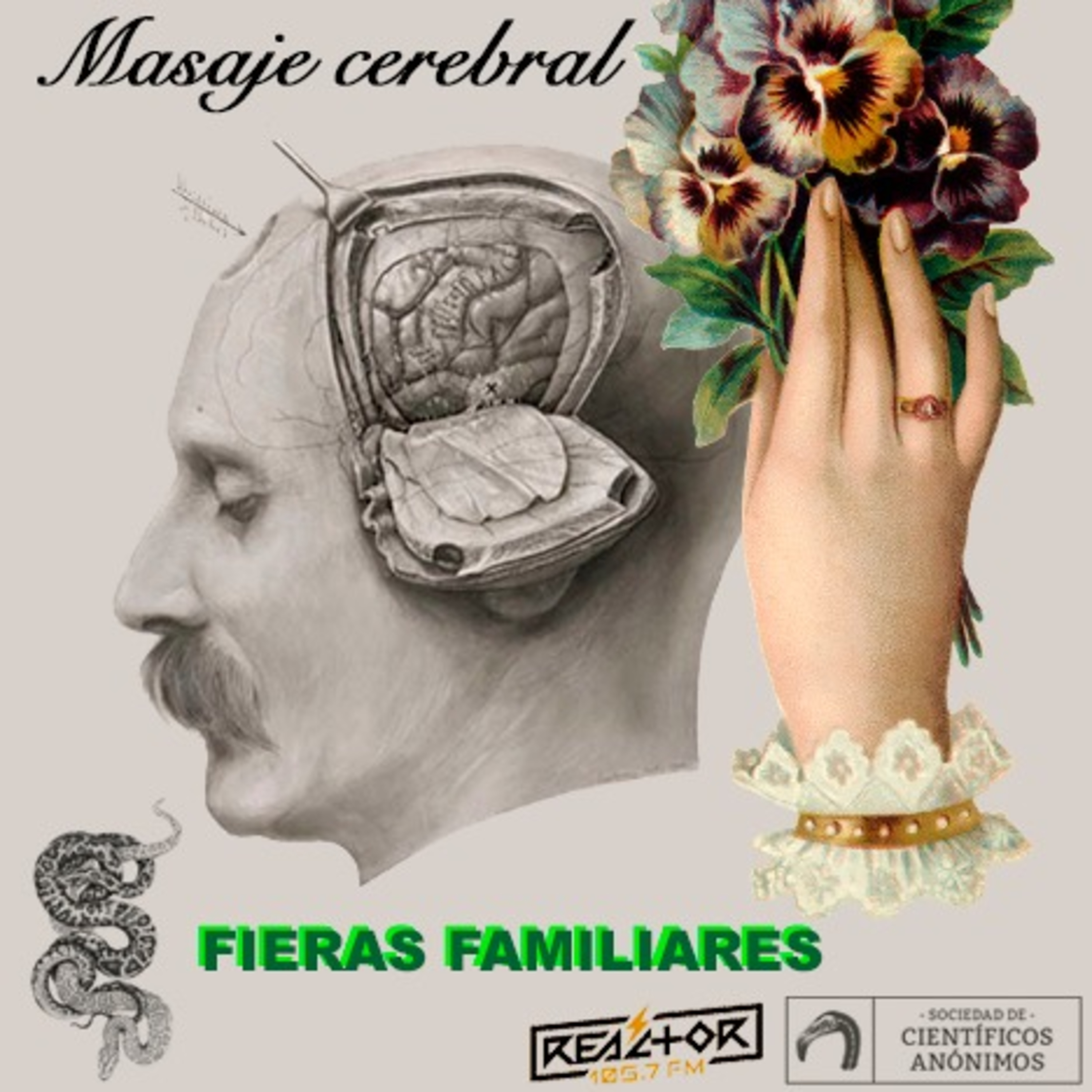 Masaje cerebral