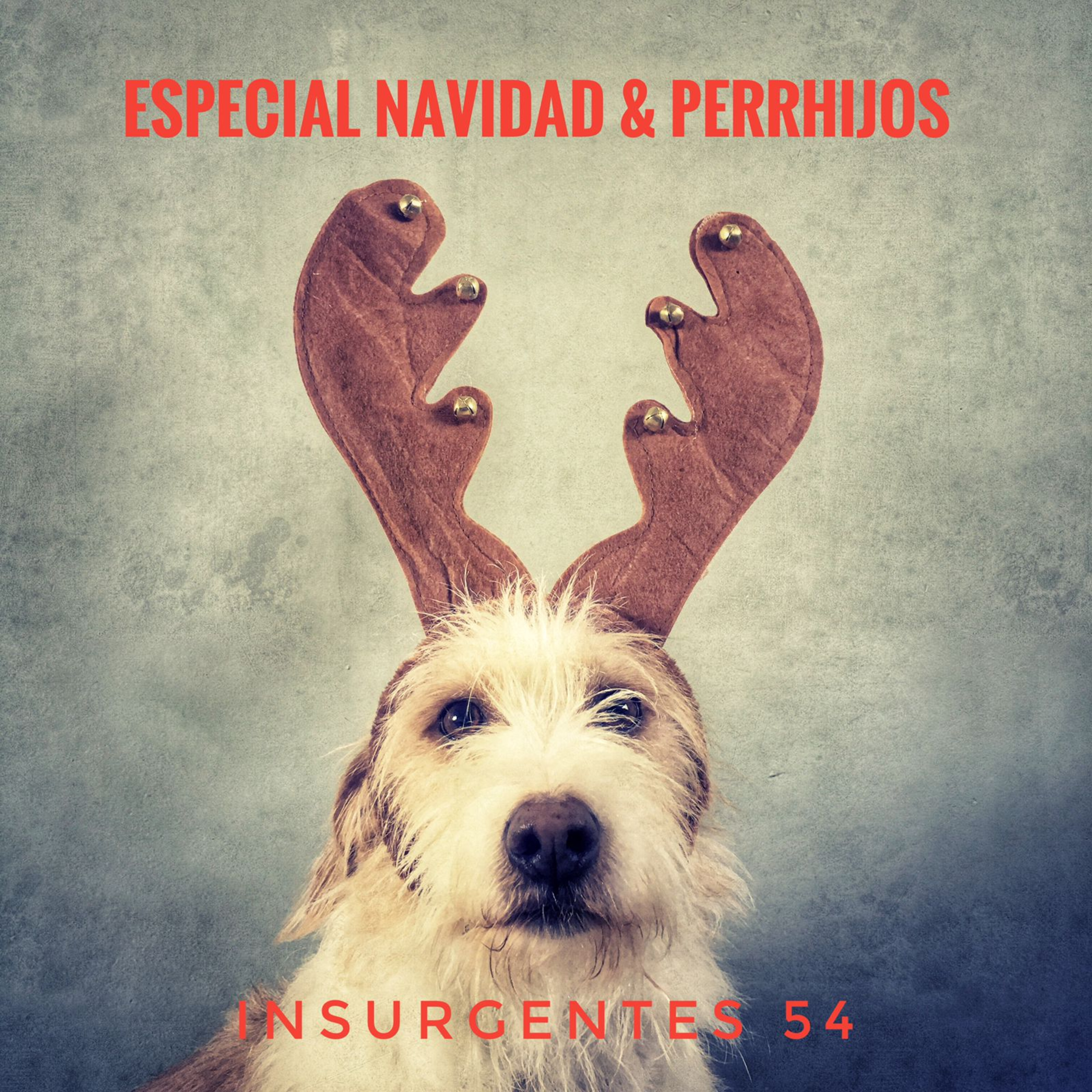 Insurgentes 54