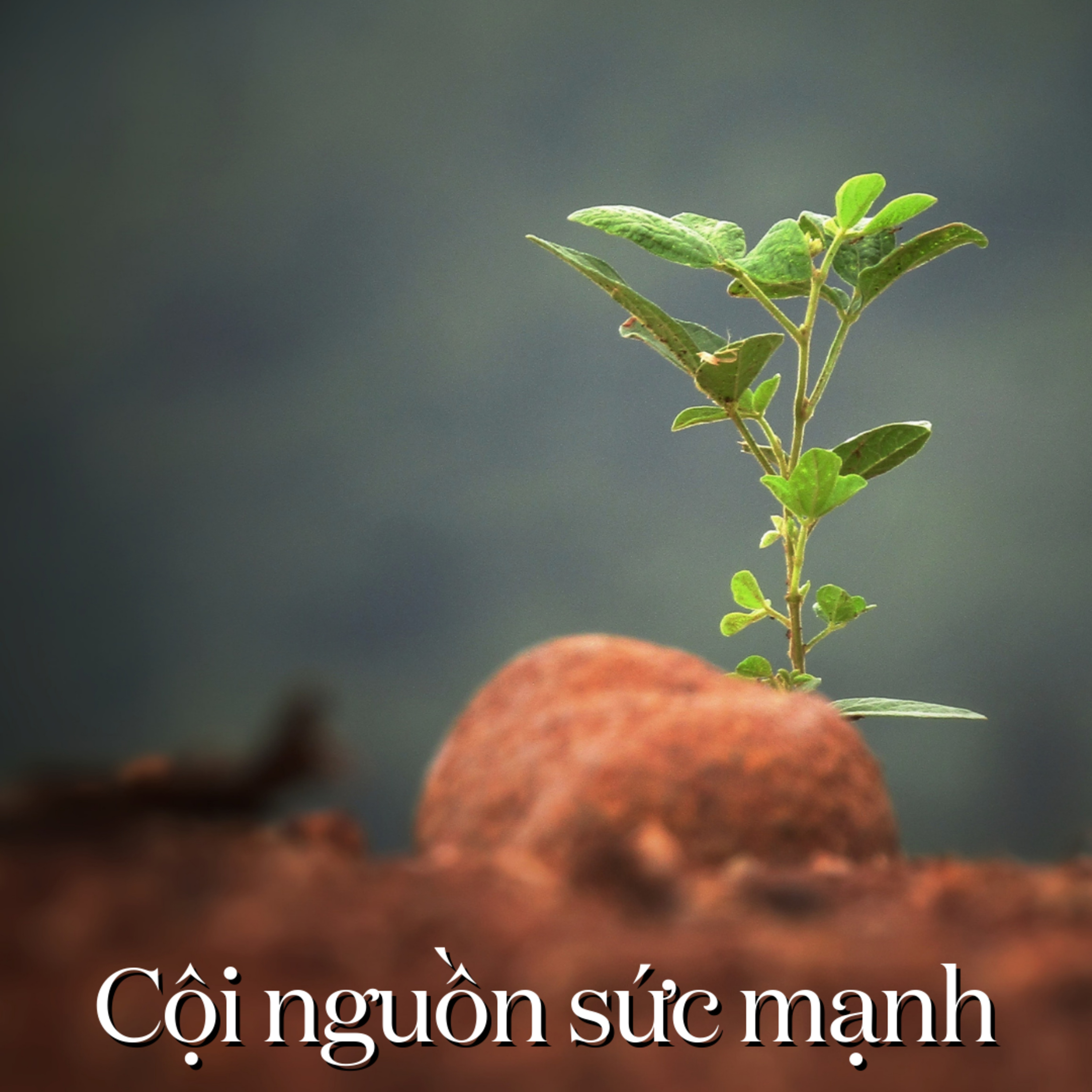 Chuyện người mạnh mẽ - Sức mạnh đến từ đâu? #Radio4