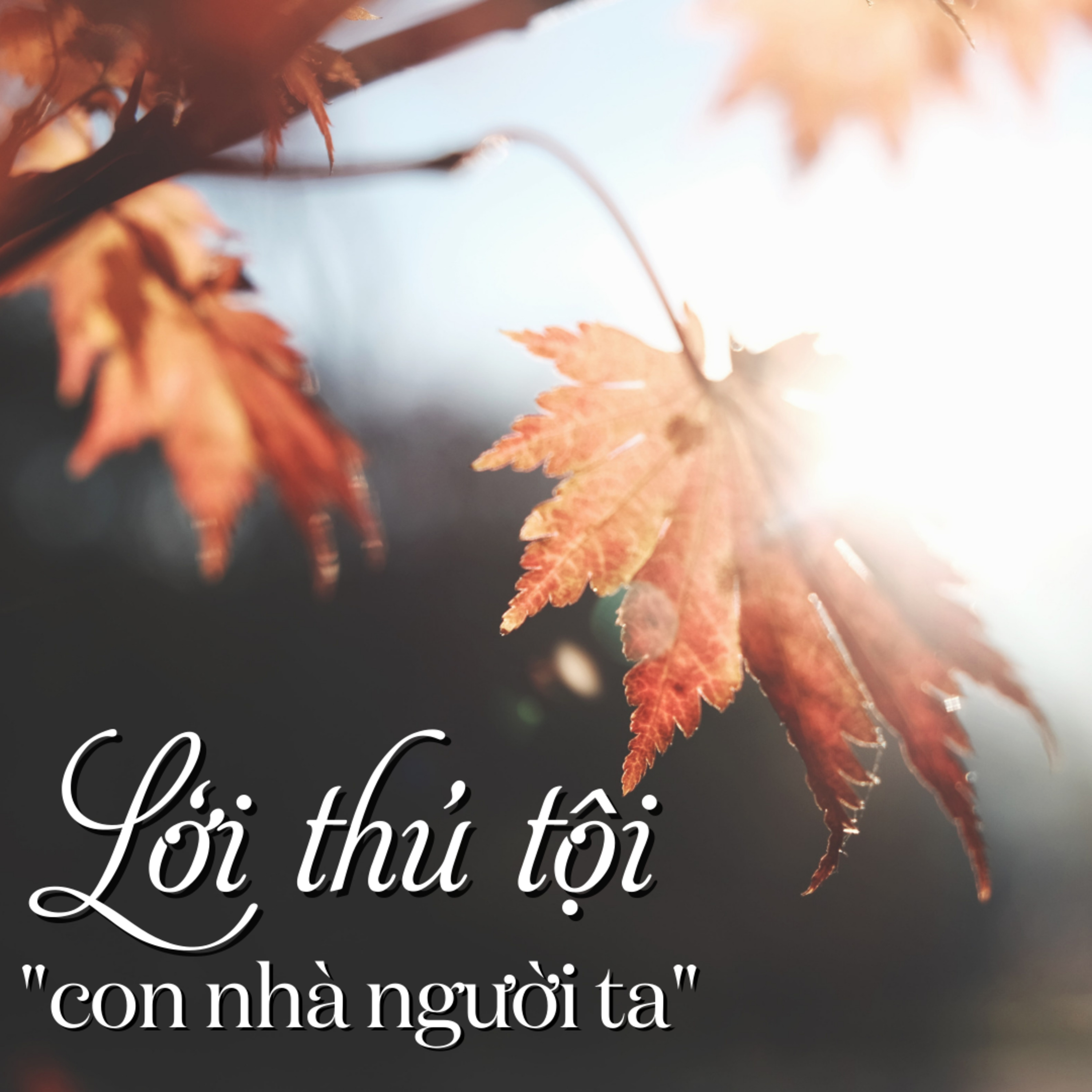 Chuyện học - Lời thú tội của con nhà người ta #Radio8