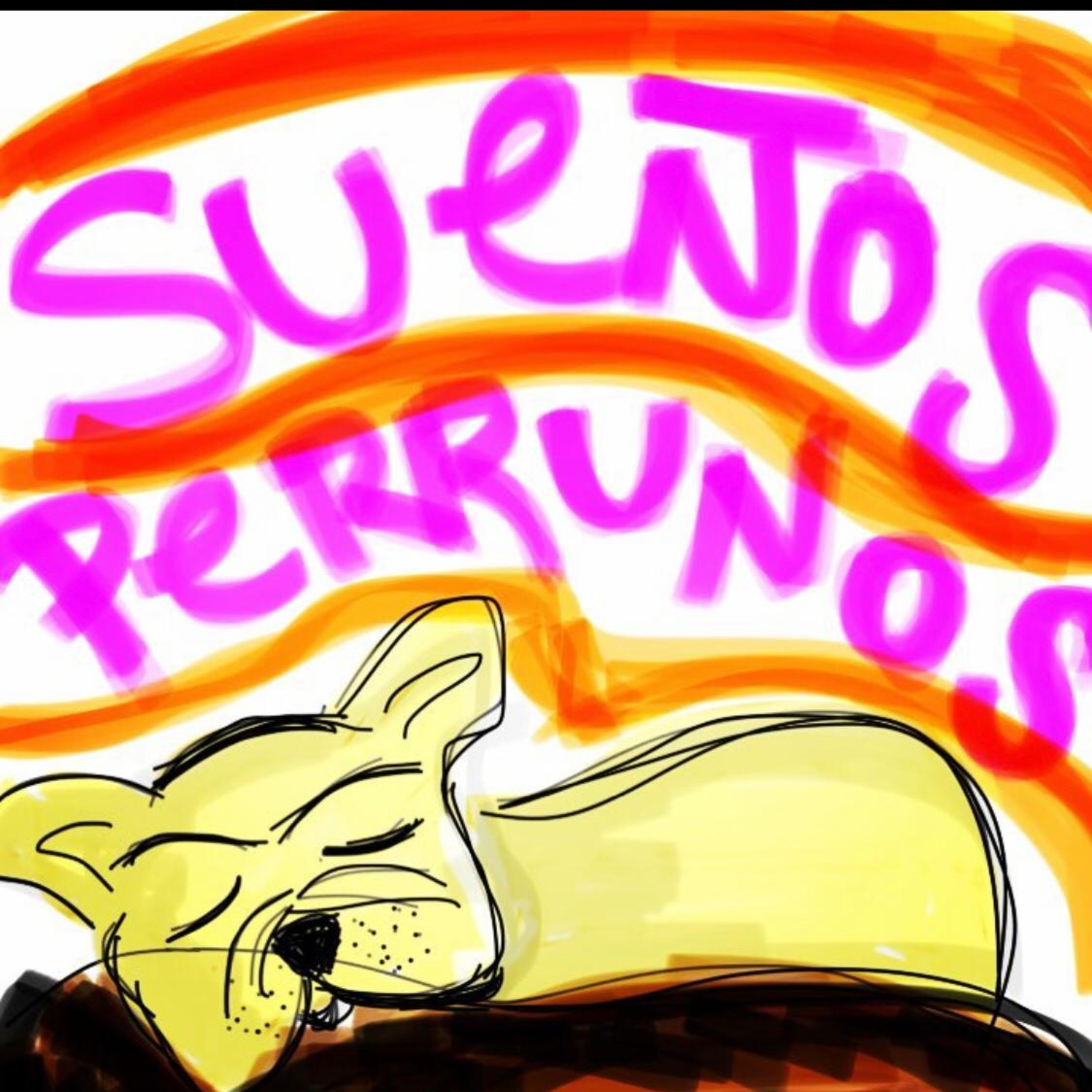 A DORMIR CON CUENTOS