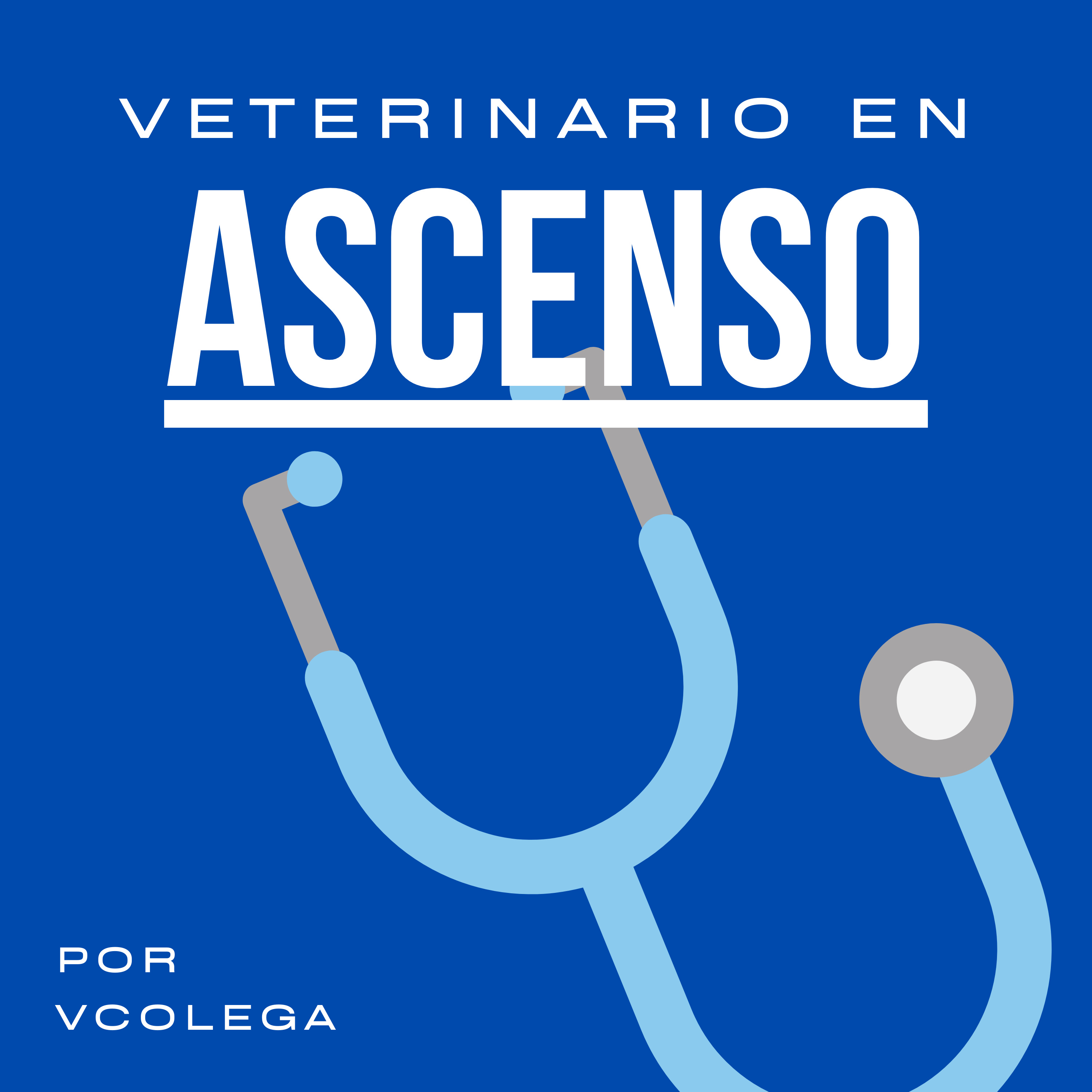 Veterinario en Asenso