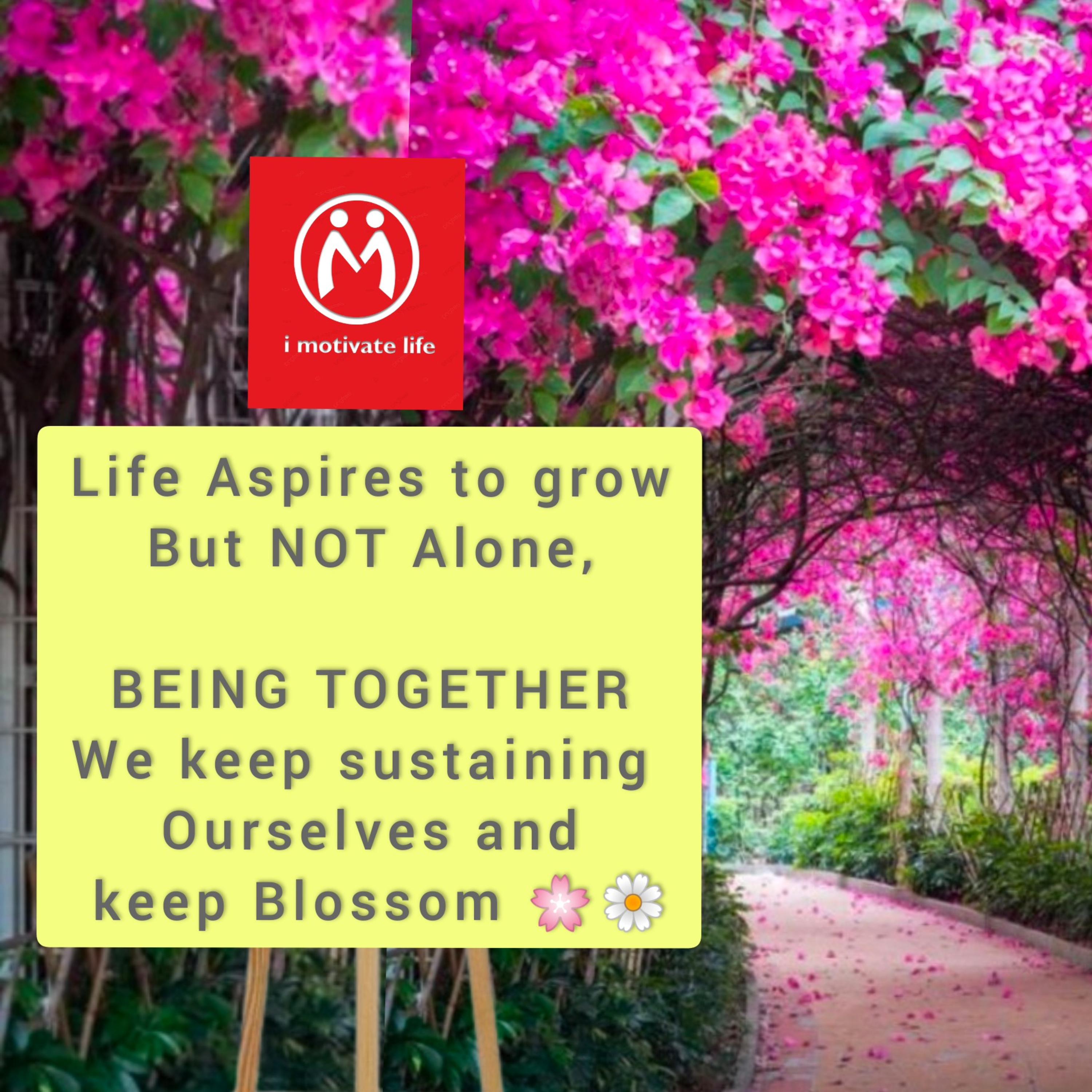 Motivational Facts Of Life