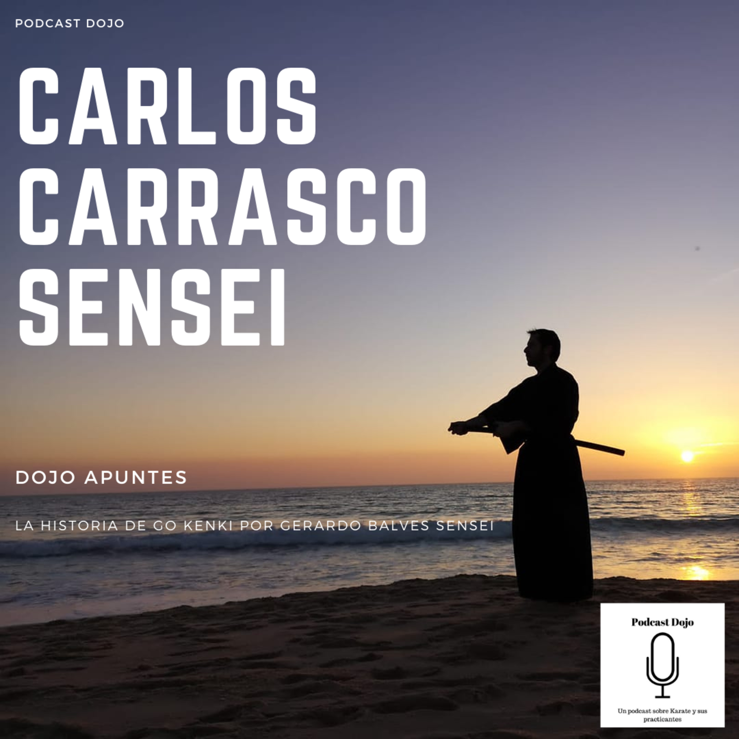 Episodio 47 - Entrevista a Carlos Carrasco sensei desde Sevilla - Dojo Apuntes: la historia de Go Kenki episode artwork