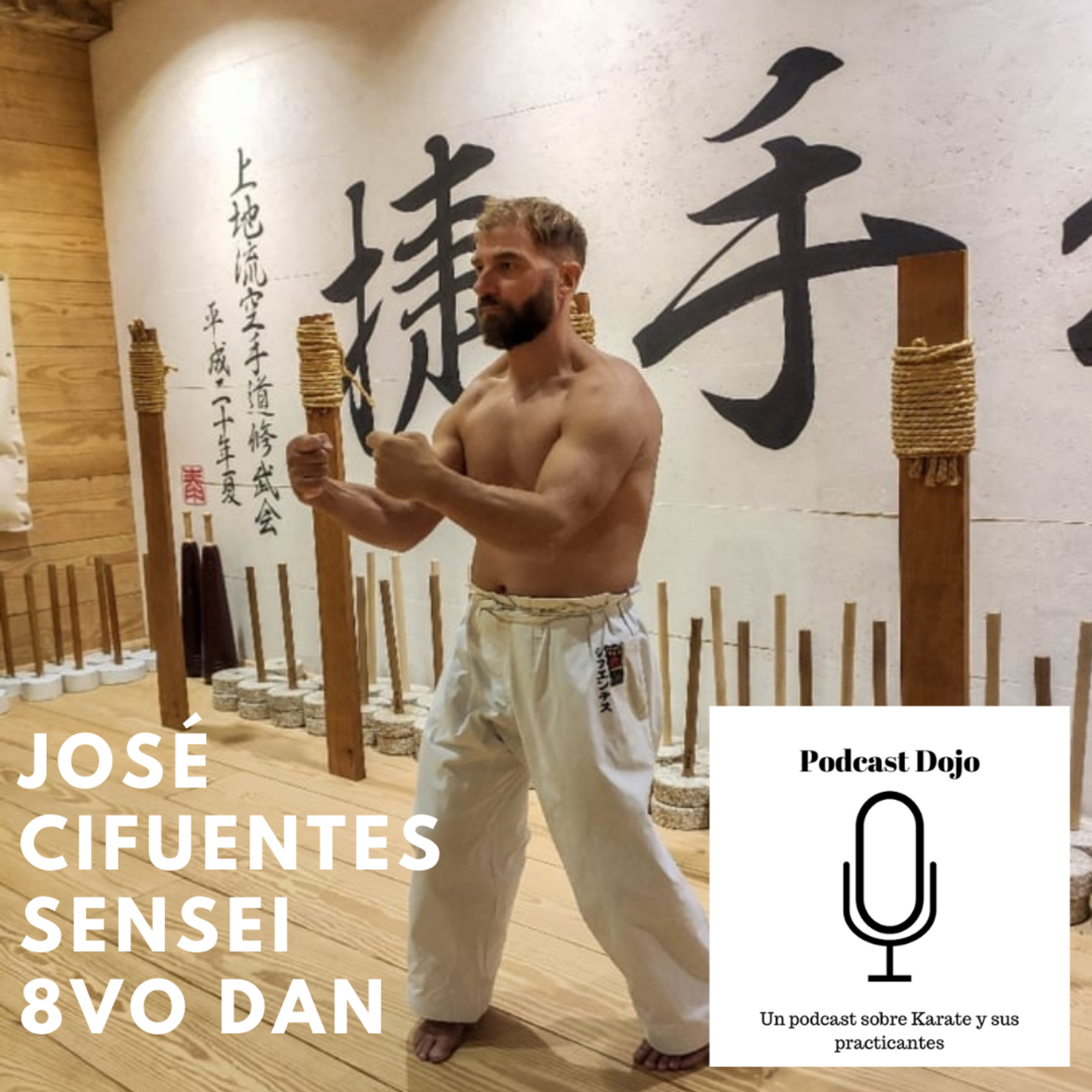 Episodio 52 - En este episodio volvemos a España al Shubukan, el Dojo de José Cifuentes sensei. episode artwork