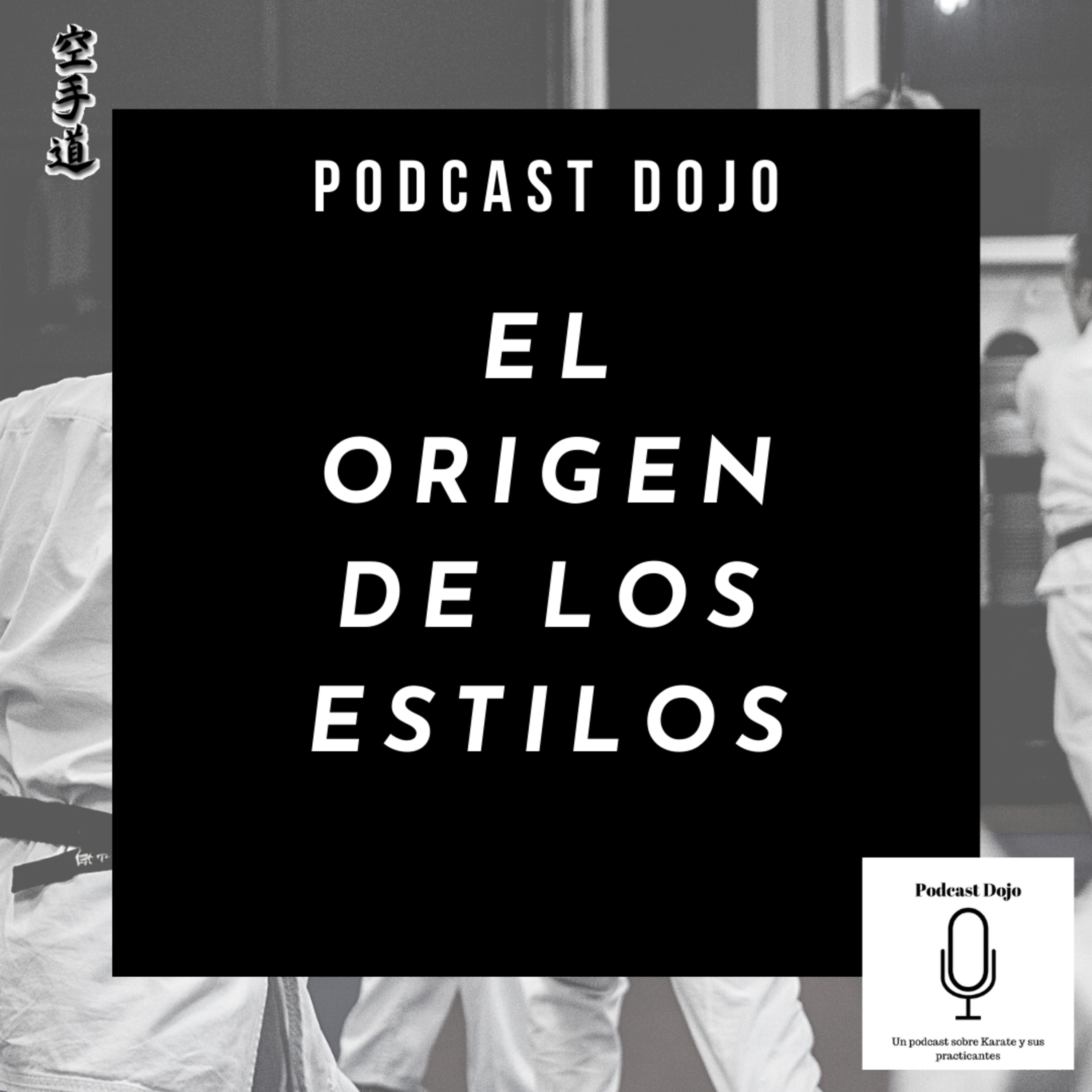 Episodio 57 - Los estilos de karate: Sus comienzos históricos. Hablamos con Gerardo Balves sensei.