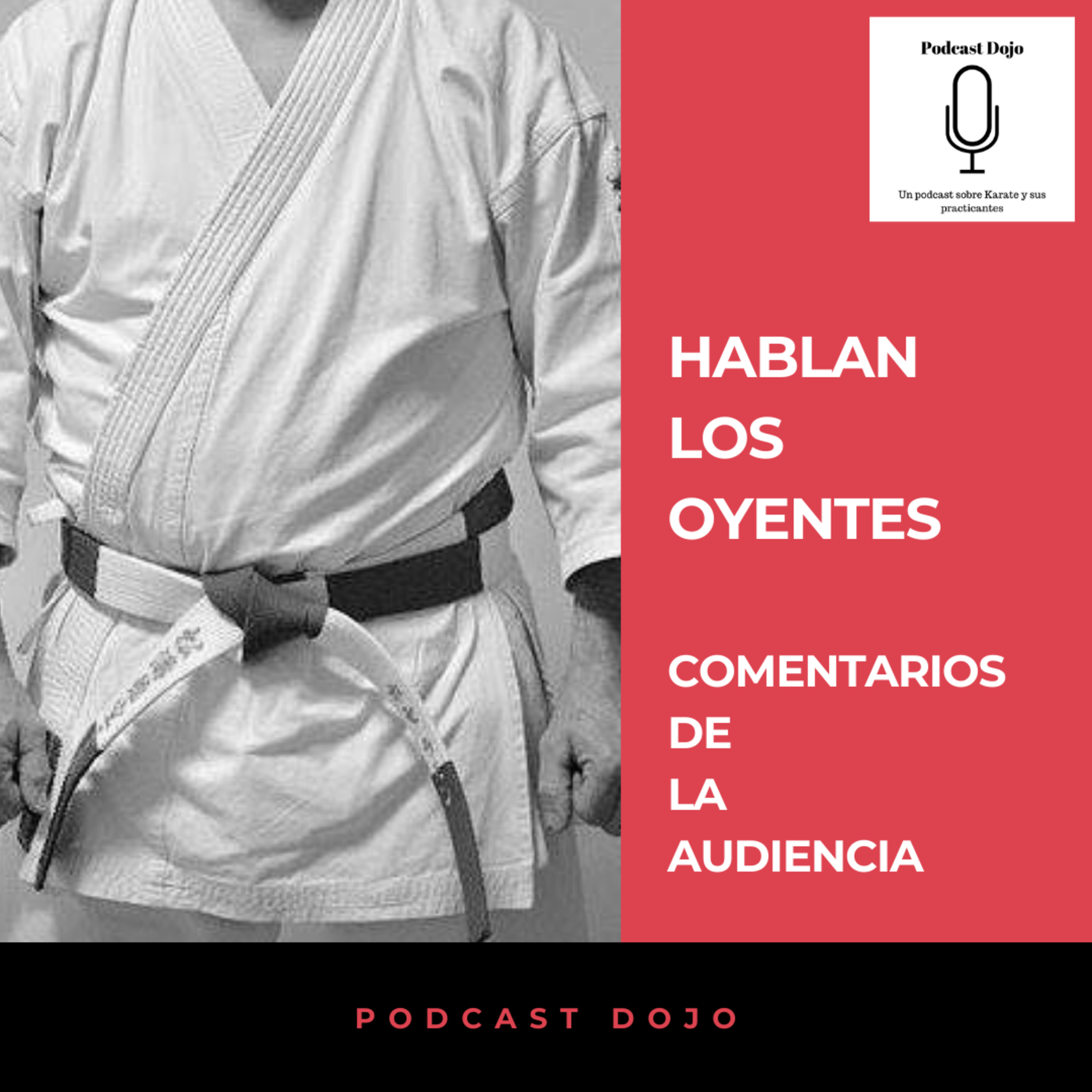 Episodio 70 - Primera parte: Karate y psicología - Segunda parte: Habla la audiencia, leemos y comentamos los comentarios que nos manda la audiencia. episode artwork