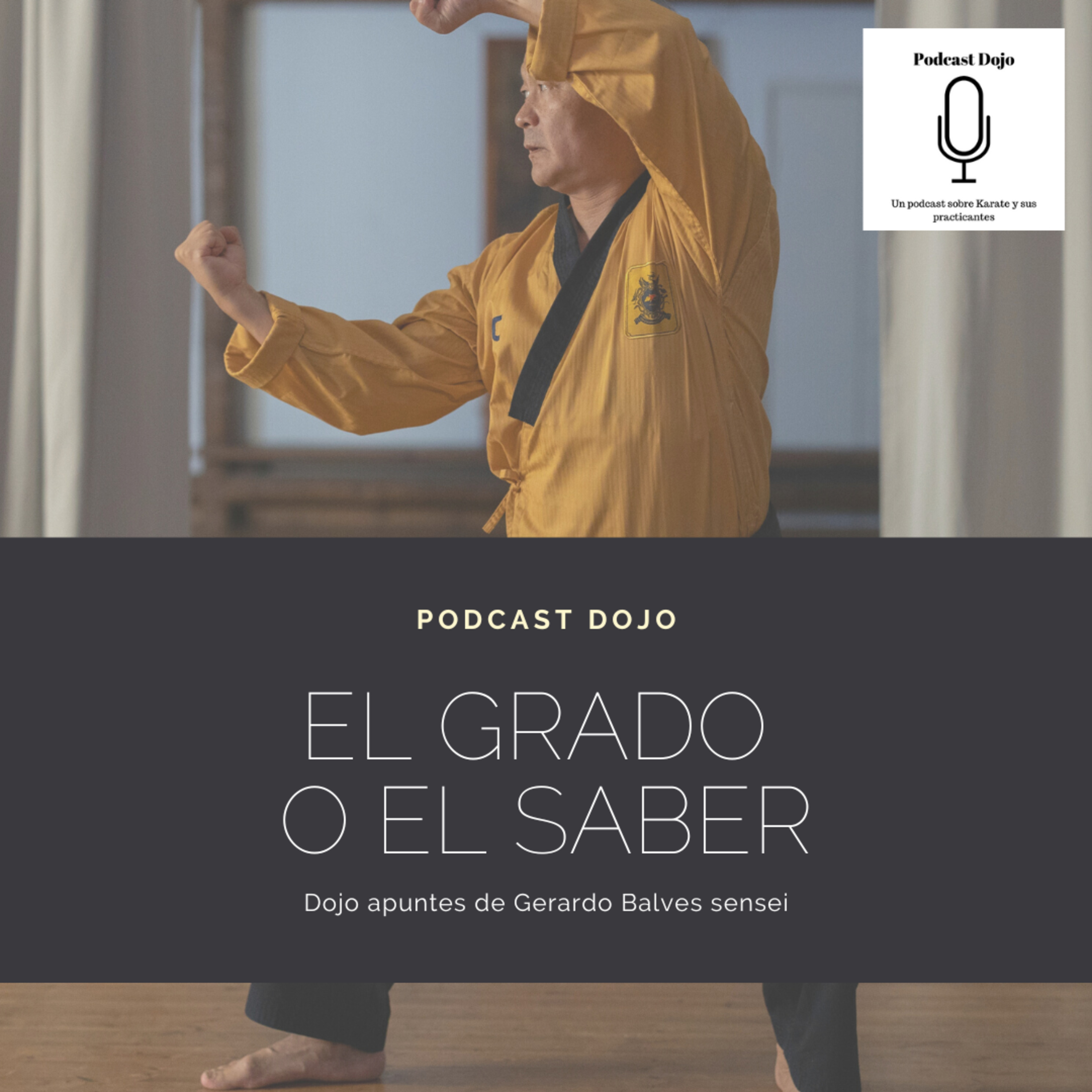 Episodio 134 - Dojo Apuntes de Gerardo Balves sensei: El grado o el saber episode artwork