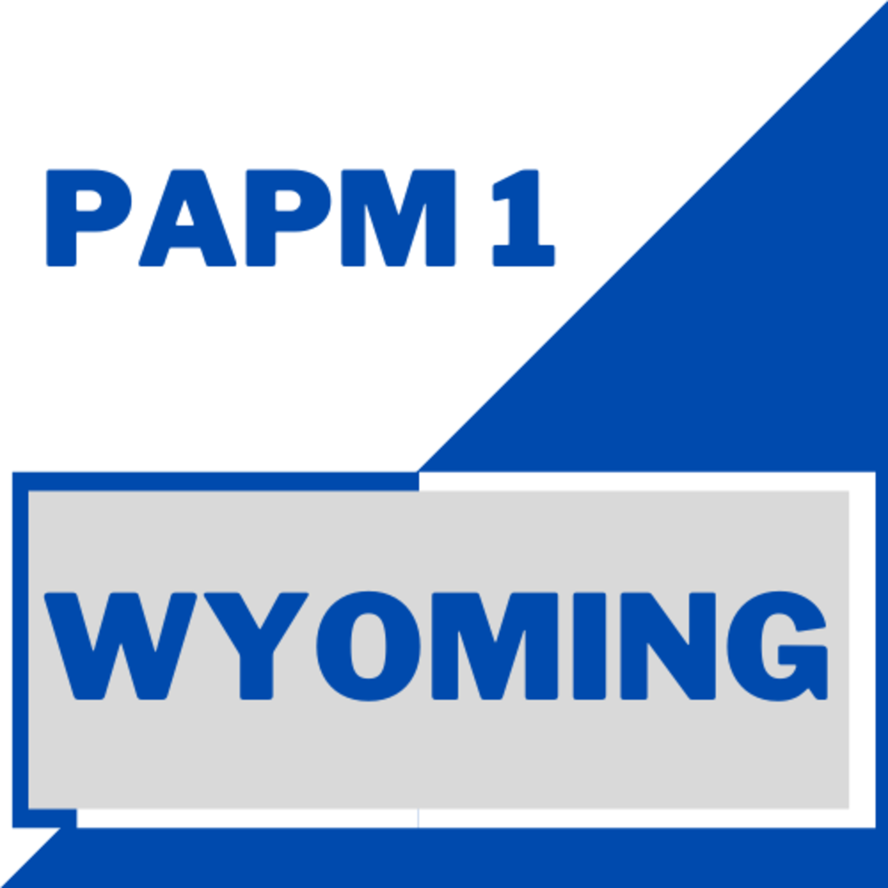 PAPM Podcast