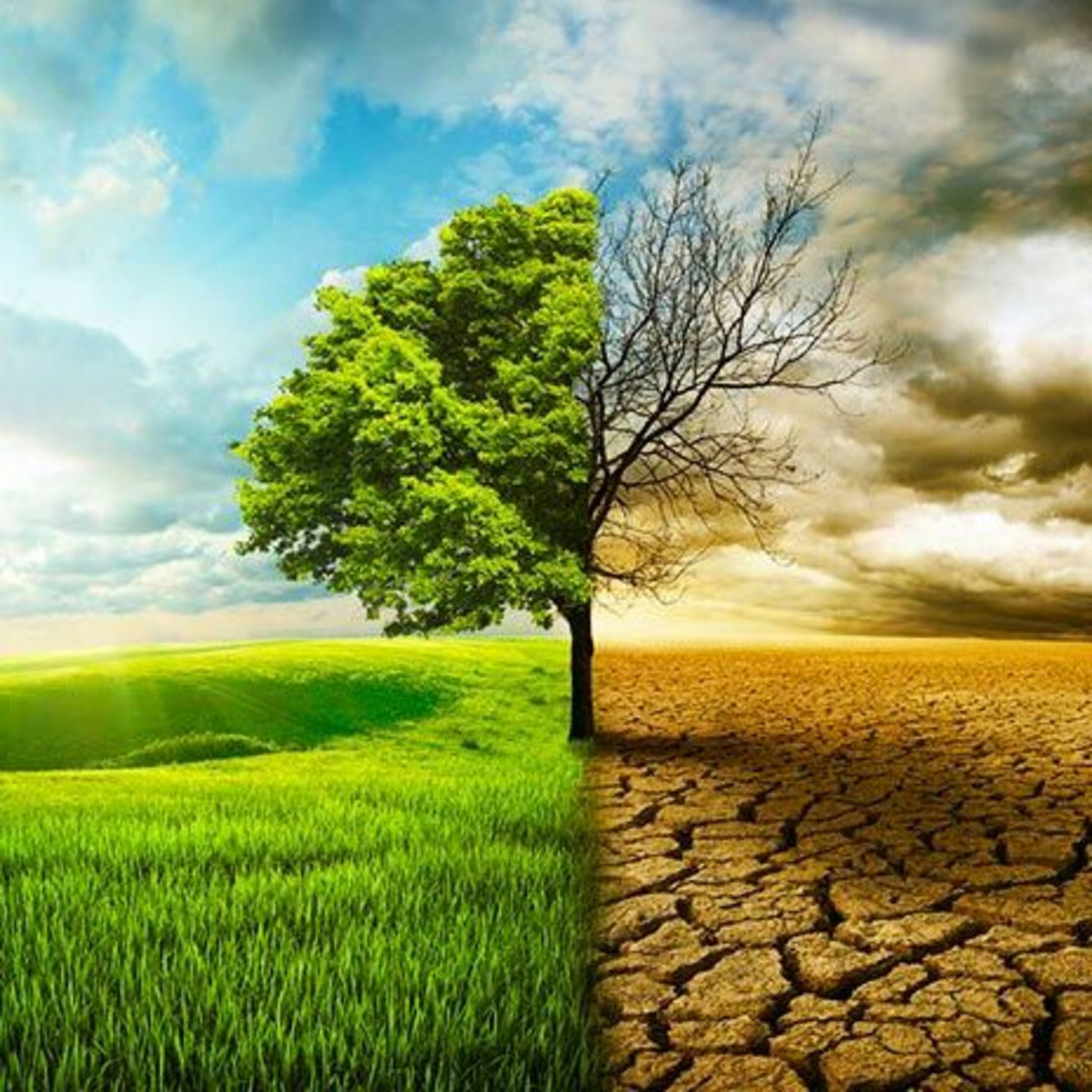 Te hablo de como cuidar el medio ambiente y nuestras vidas