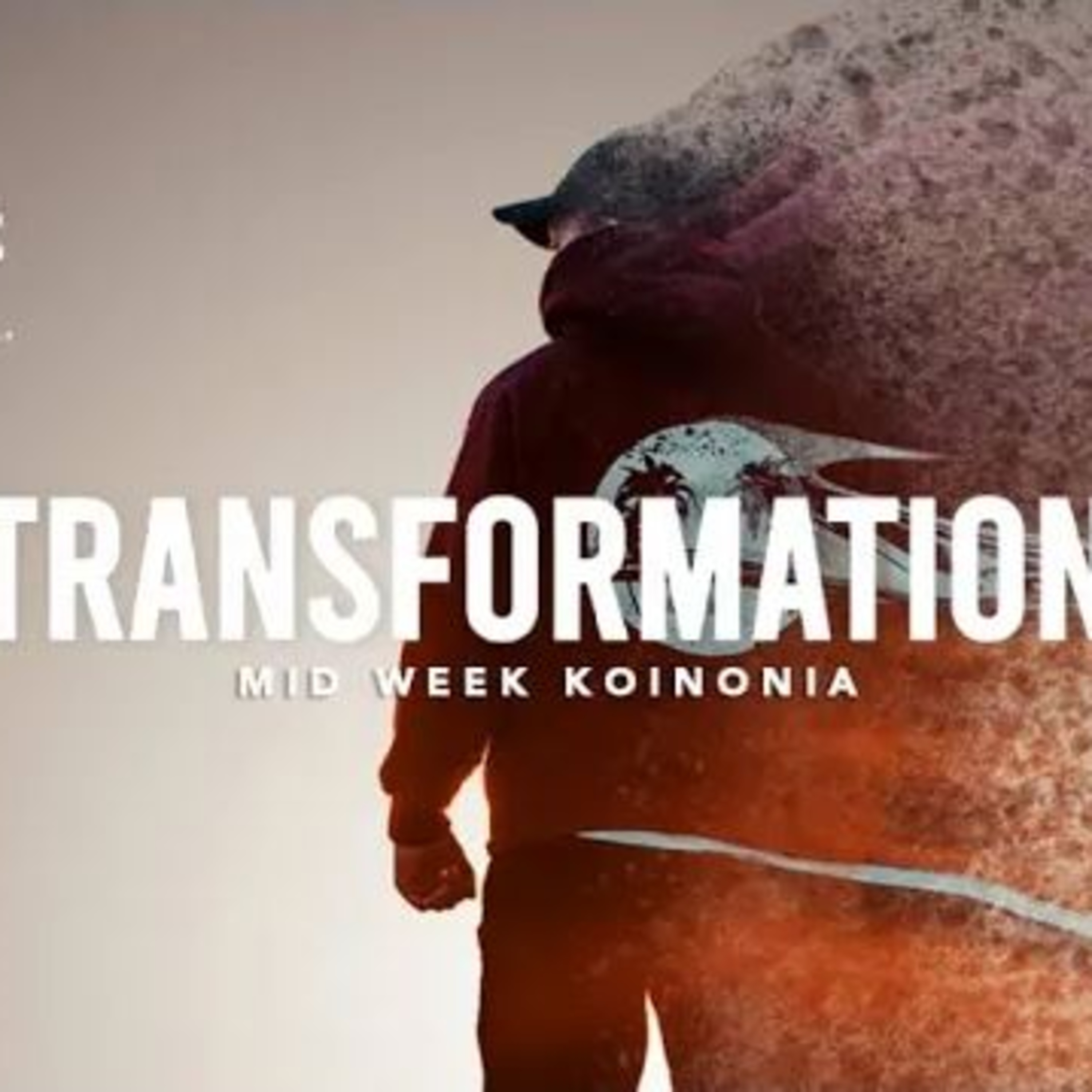 TRANSFORMATION 1 BY FLOURISH PETERS episode artwork