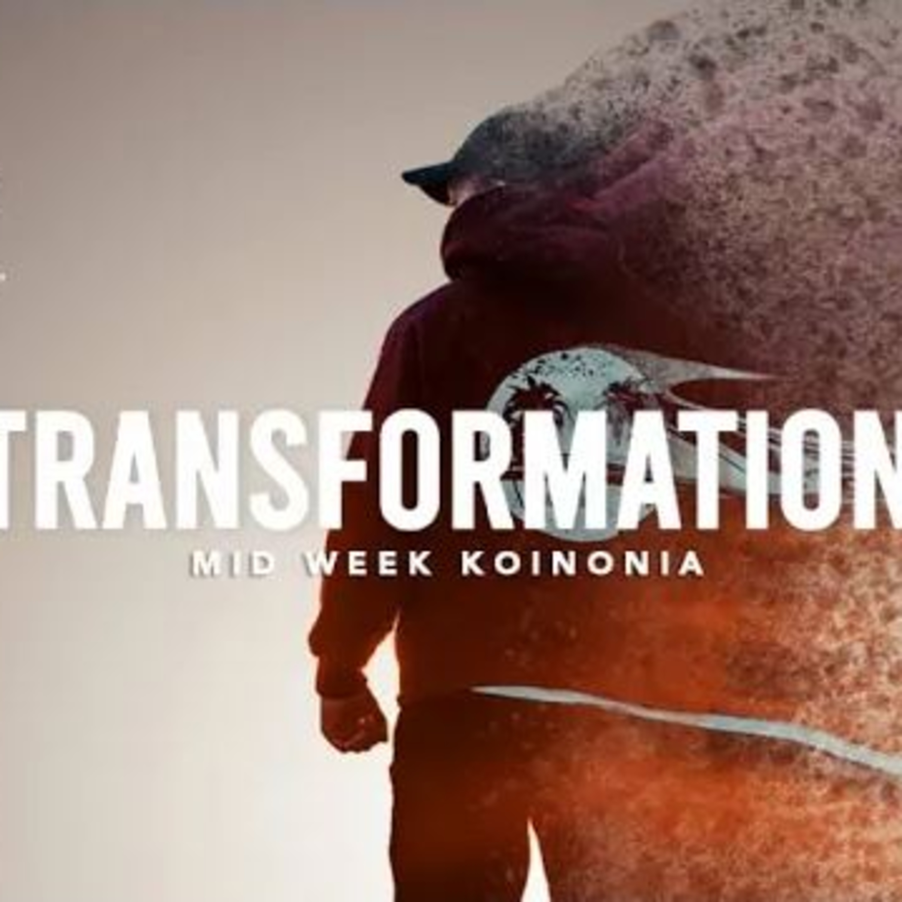 TRANSFORMATION 2 BY FLOURISH PETERS episode artwork