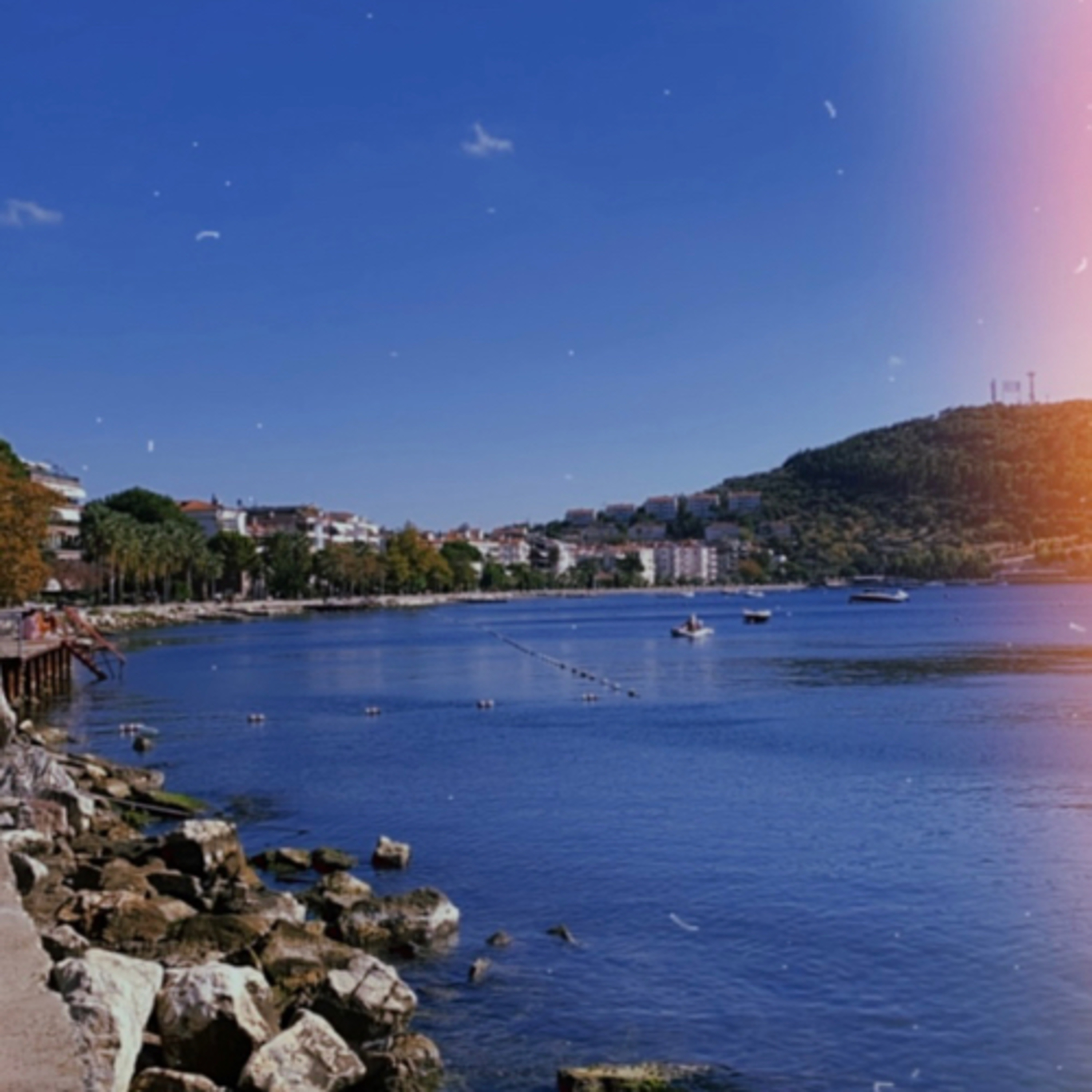 Samimiyetsizlik Giriş episode artwork