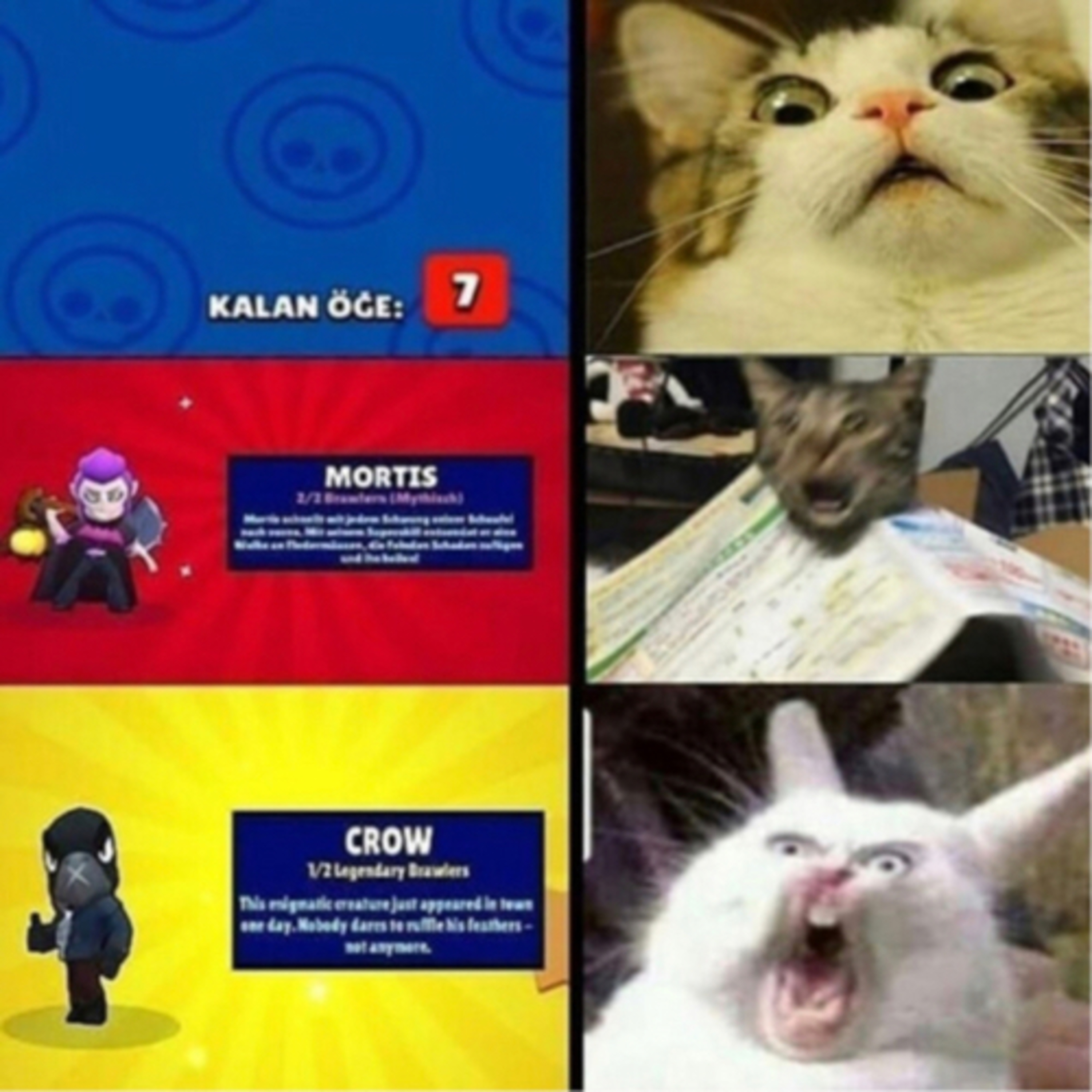 #313| Brawl Stars Meme 😂😂🤦🏻‍♂️🤐 episode artwork