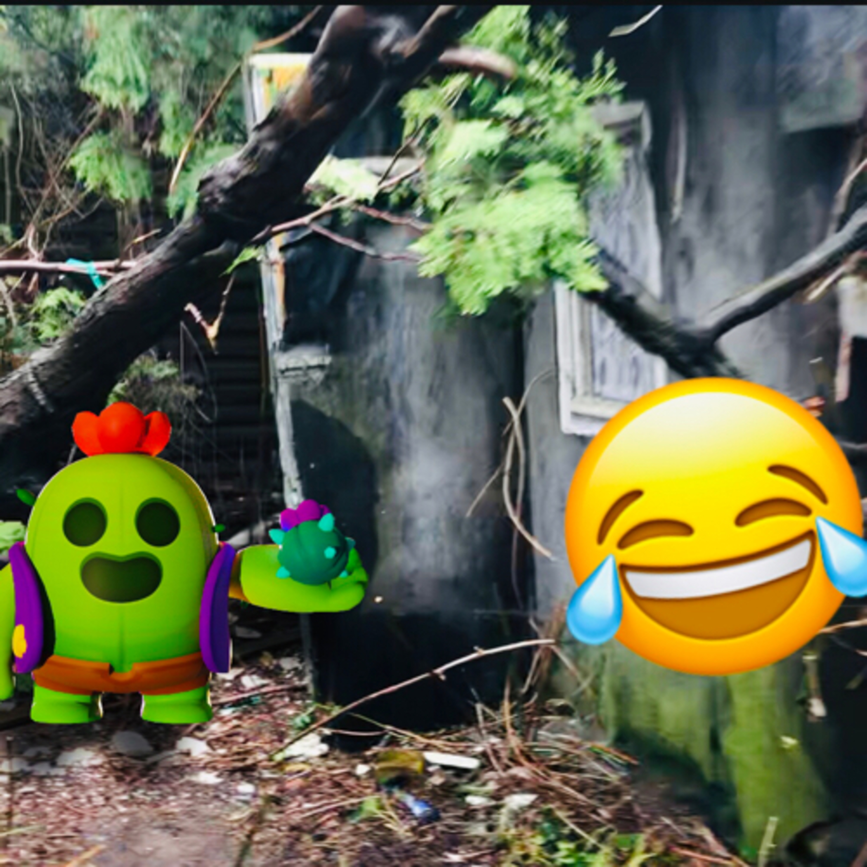 #823| Video🎥| 🌵💥Spike geht ins Gruselhaus👿🧟 episode artwork