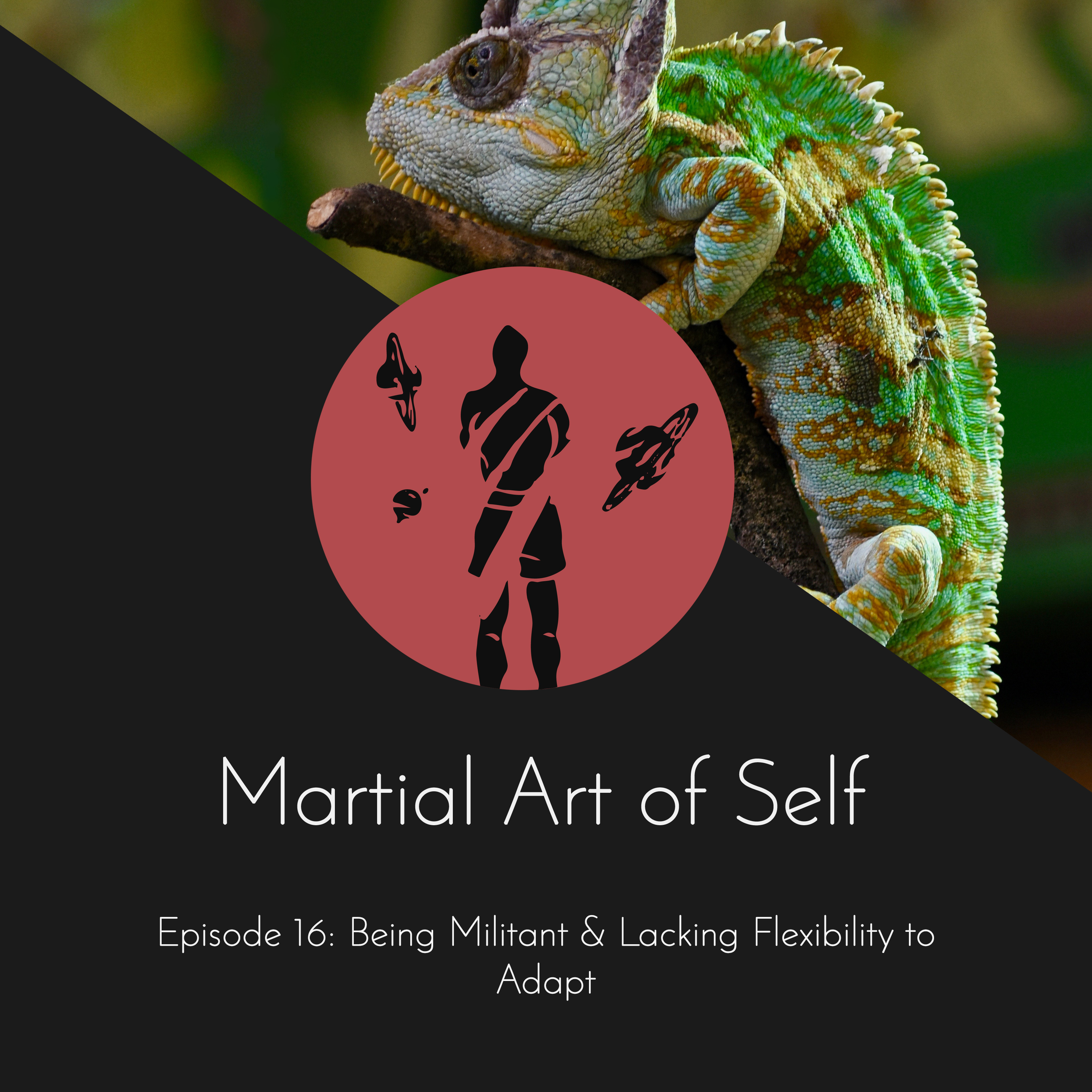 Being Militant & Lacking Flexibility to Adapt