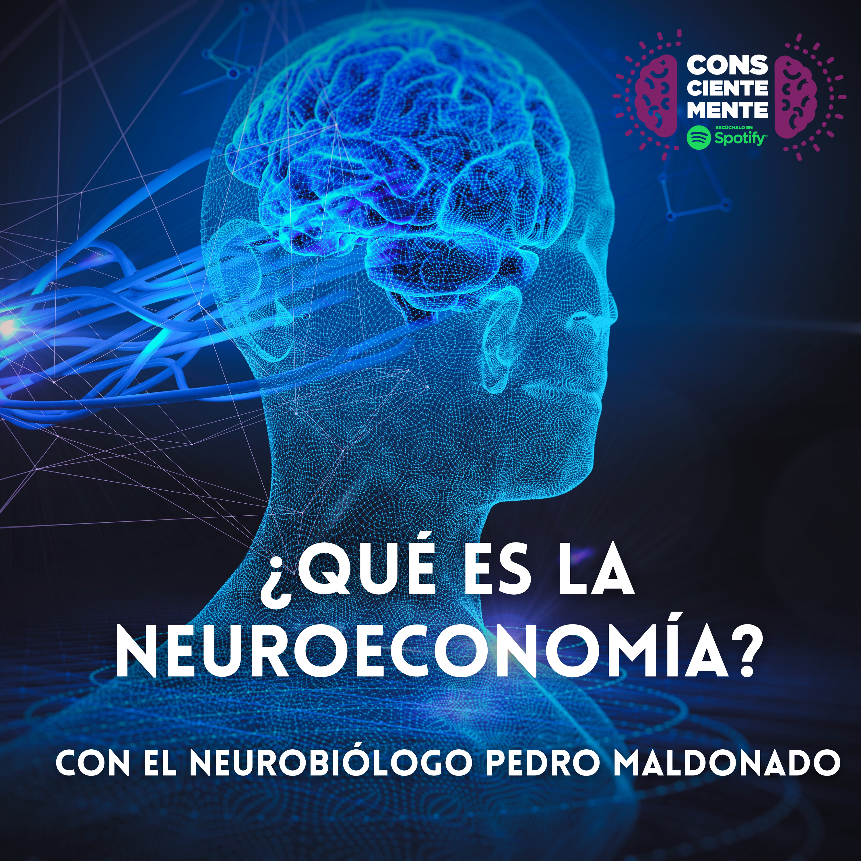 MundoSocios CChC