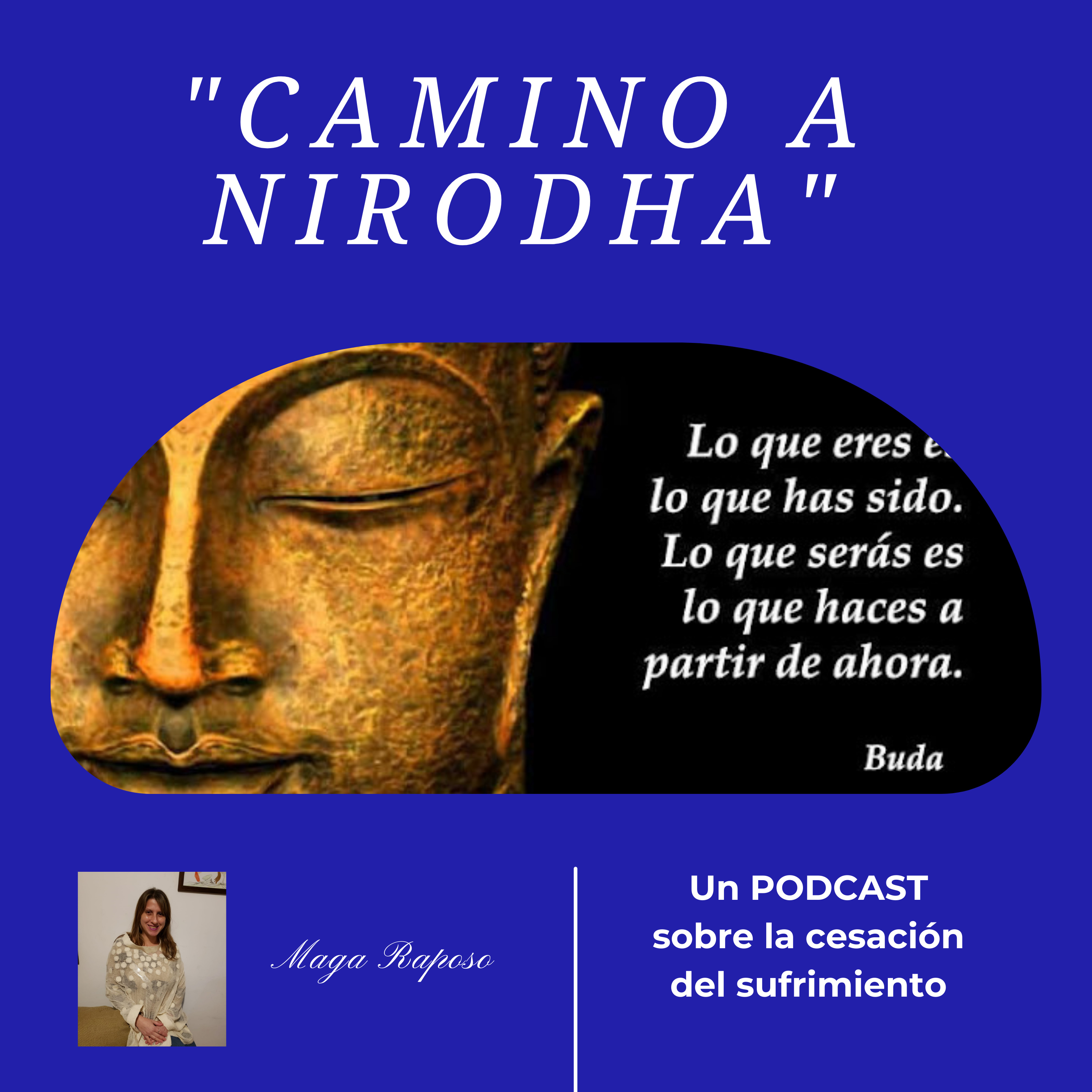 "Camino a Nirodha" episode artwork