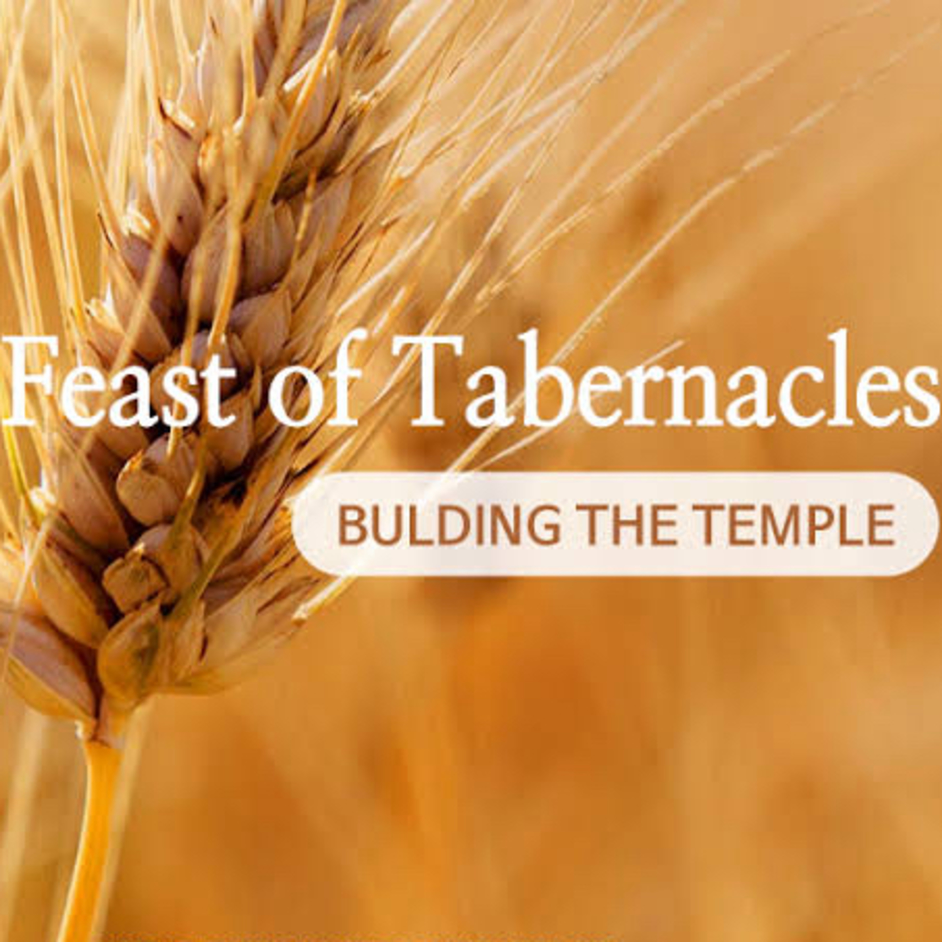 The Feast of Tabernacle… (Sukkot) episode artwork