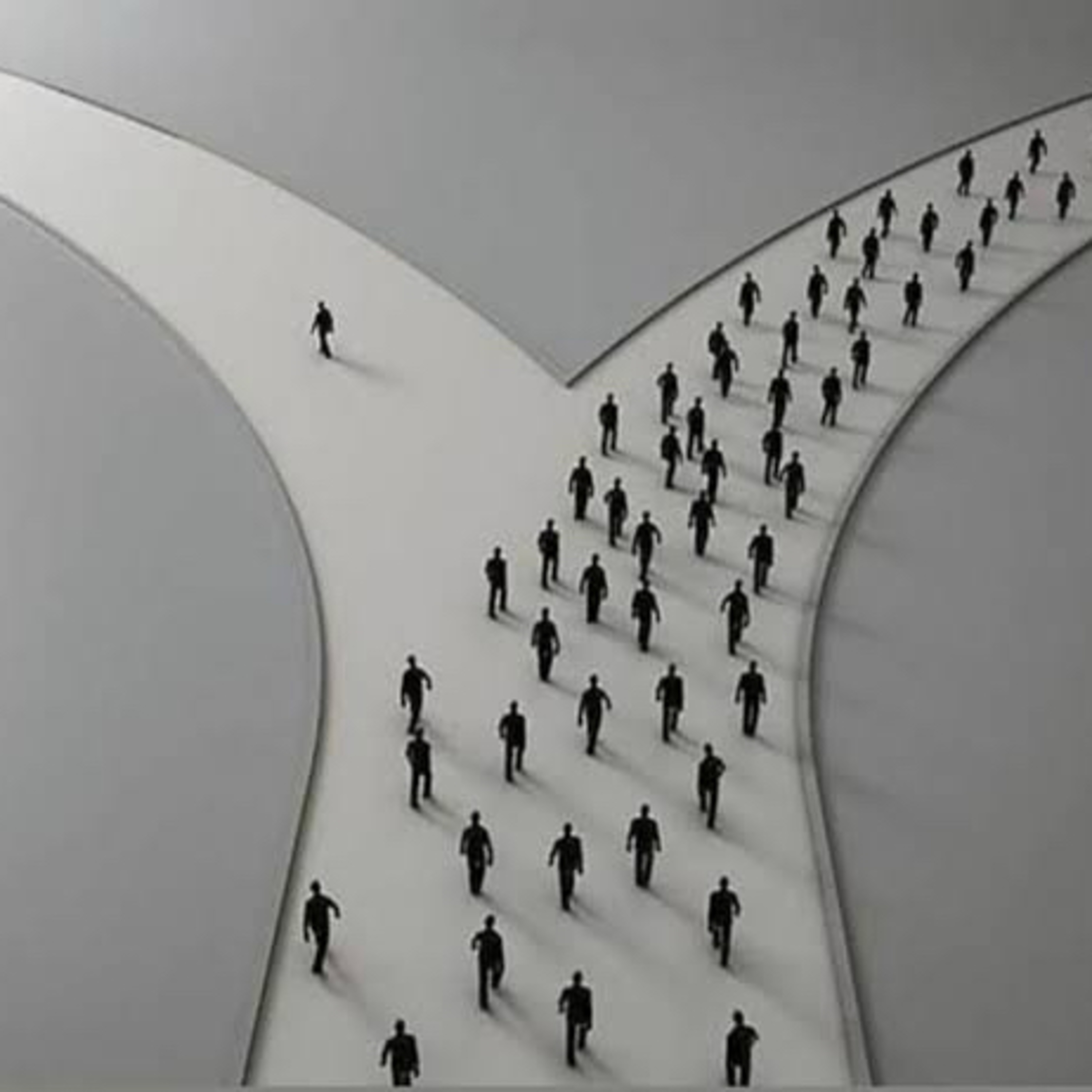 Narrow and Wide… episode artwork