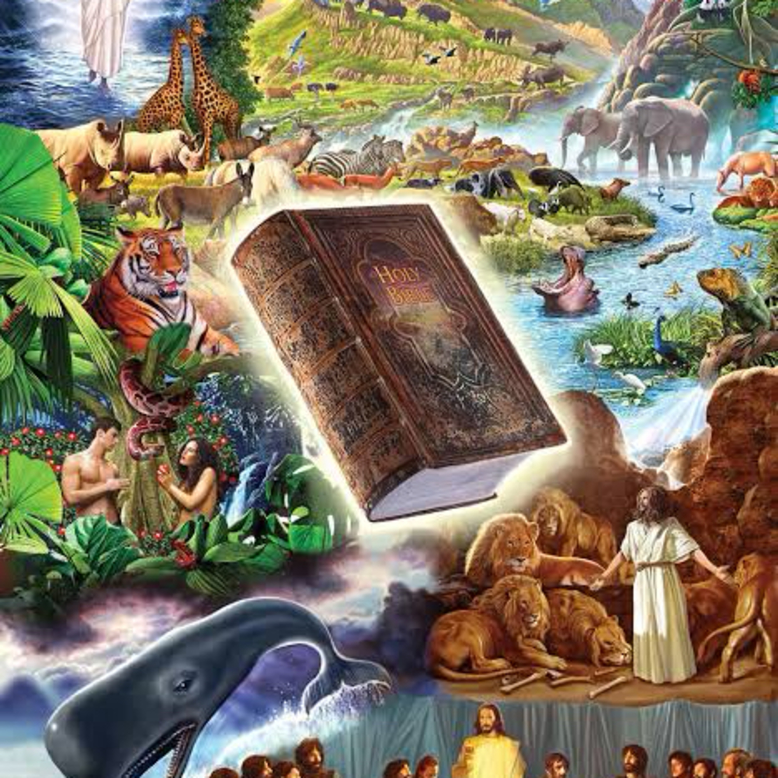 Stories in the Bible… episode artwork