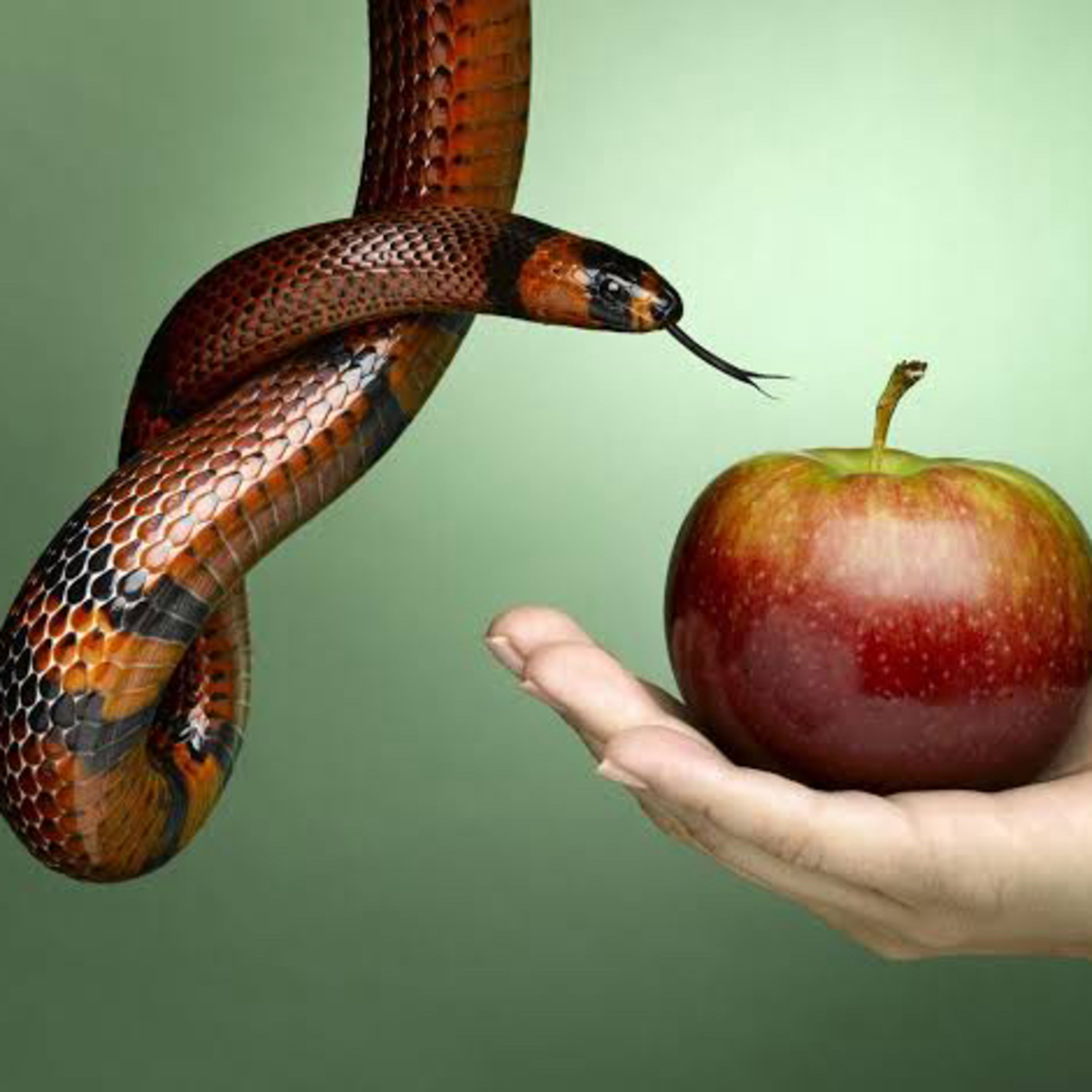 Lesson from Jesus’s Temptations  episode artwork