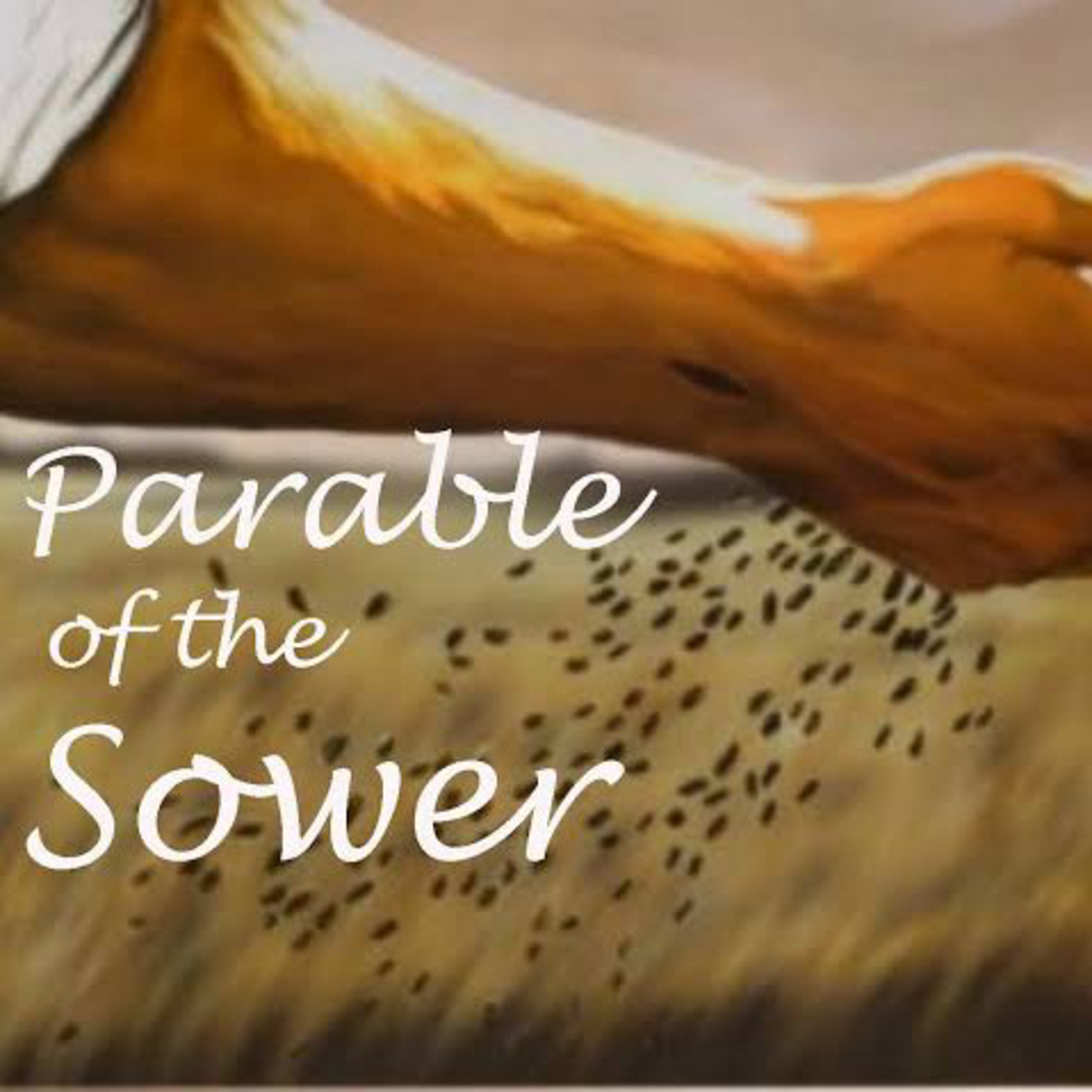 Luke talks about the Sower… episode artwork