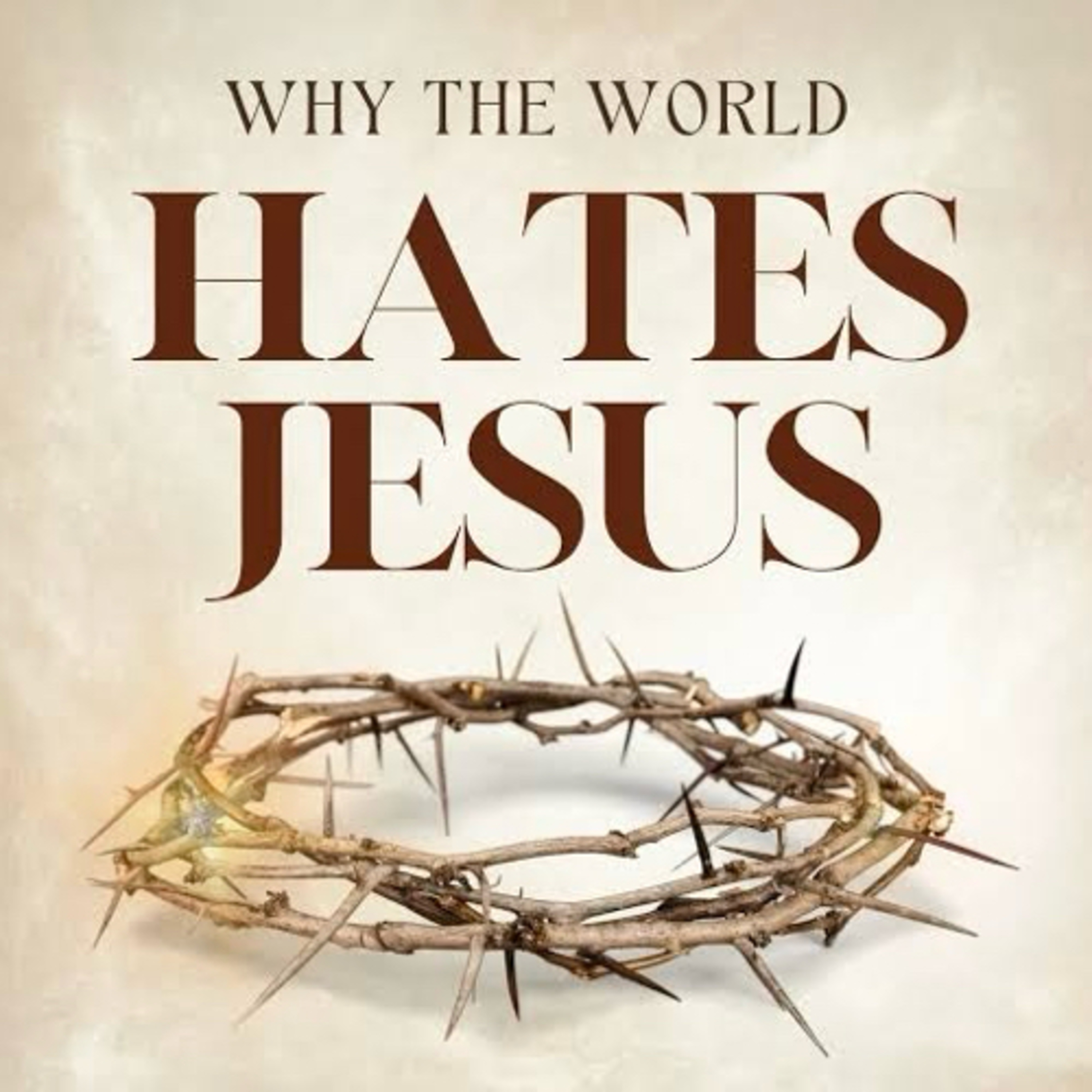 The World hates me… episode artwork