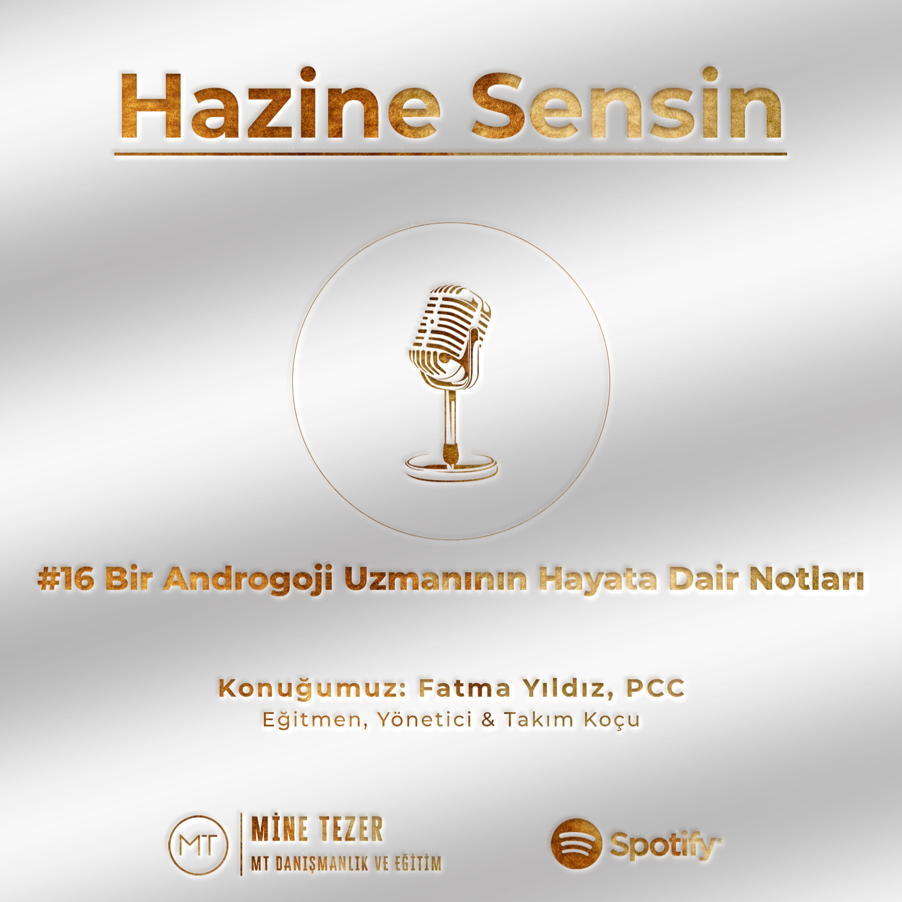 Hazine Sensin