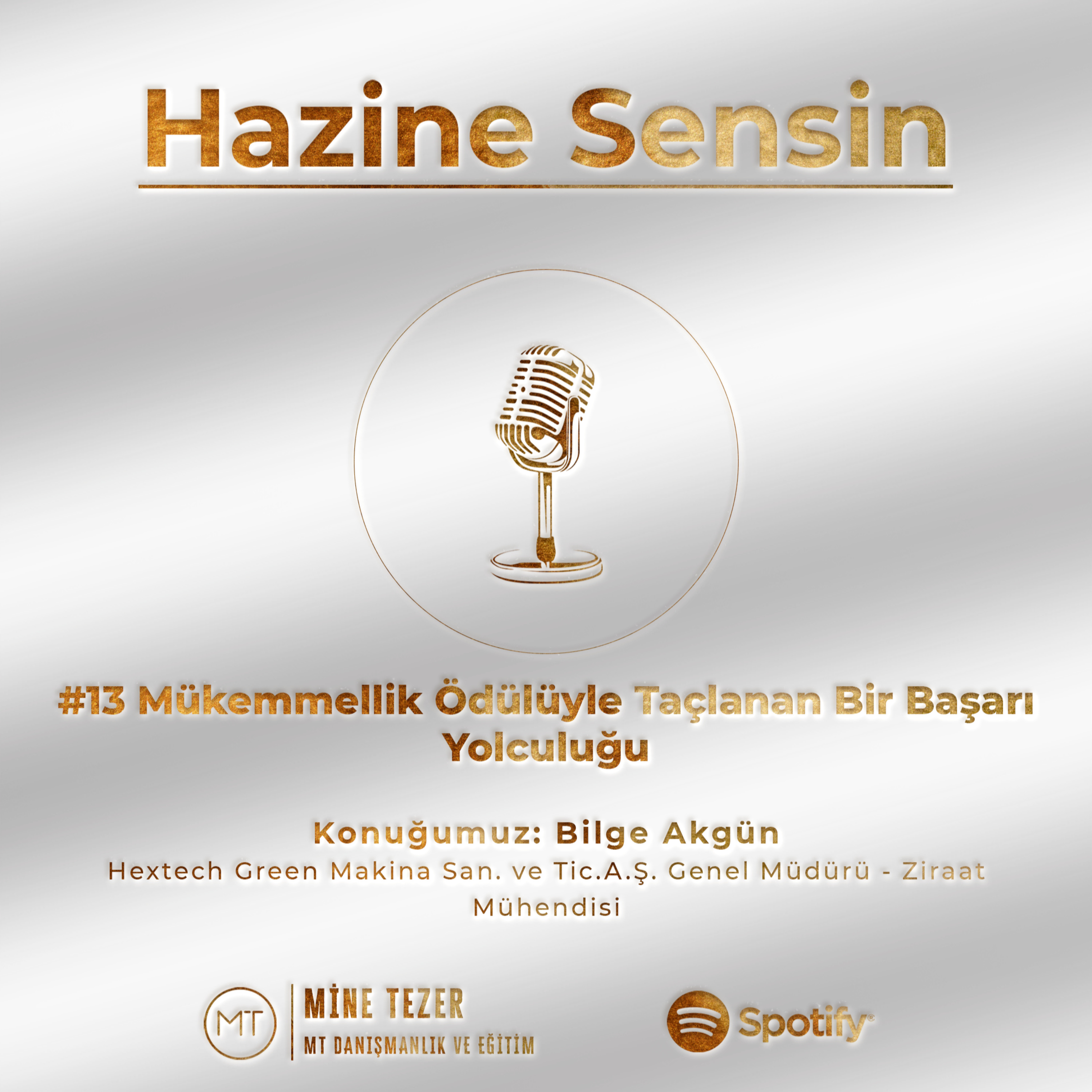Hazine Sensin