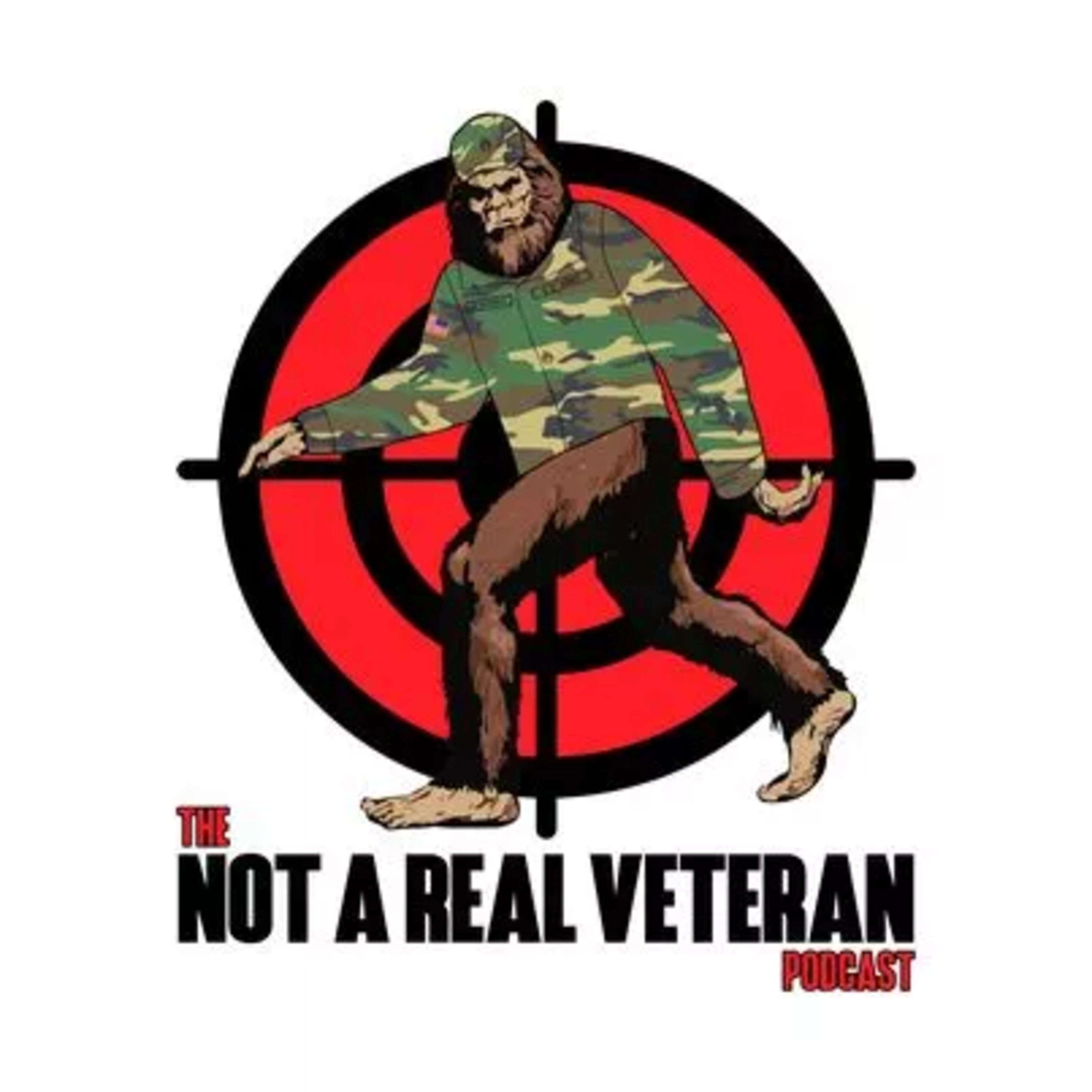 Not A Real Podcast