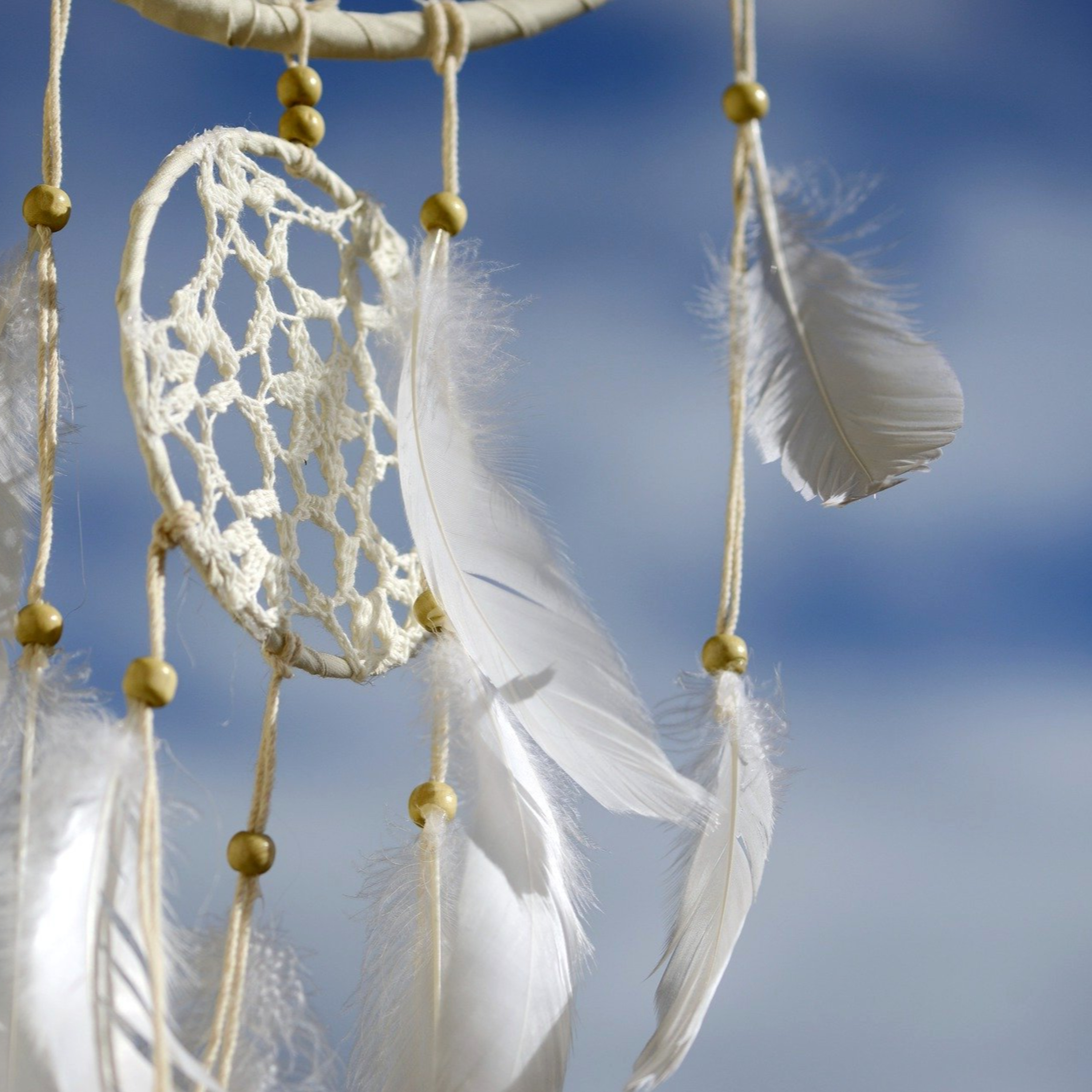 Personal Forecasting. Accuracy | Daily Celestial