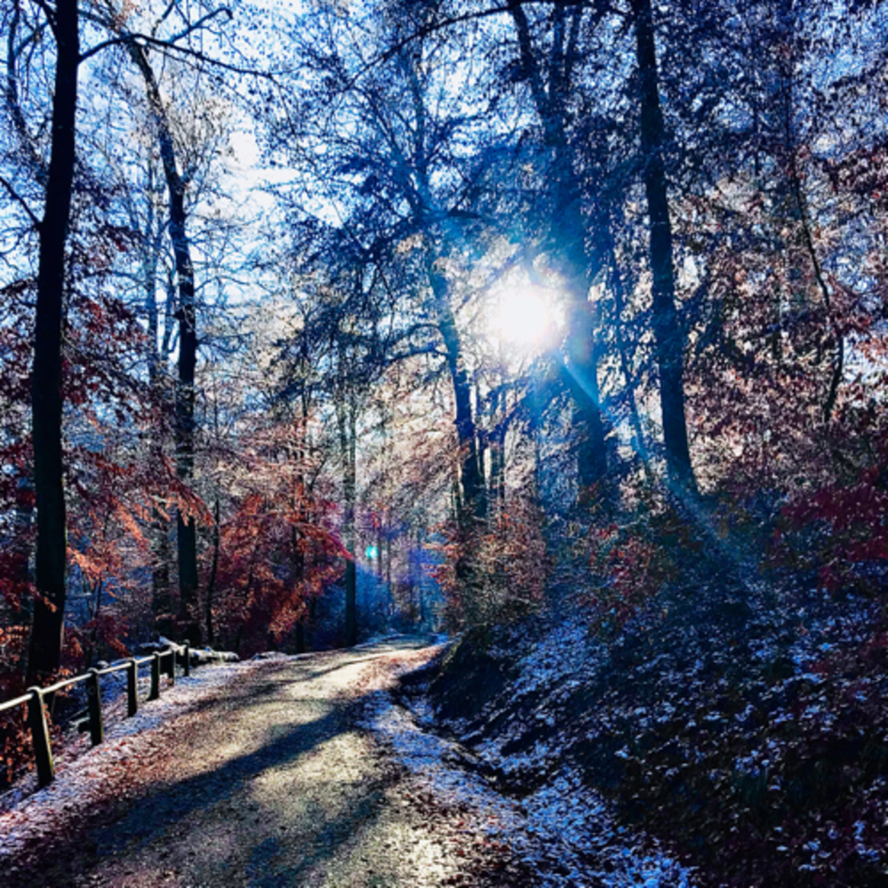Entfalte Deine Seele