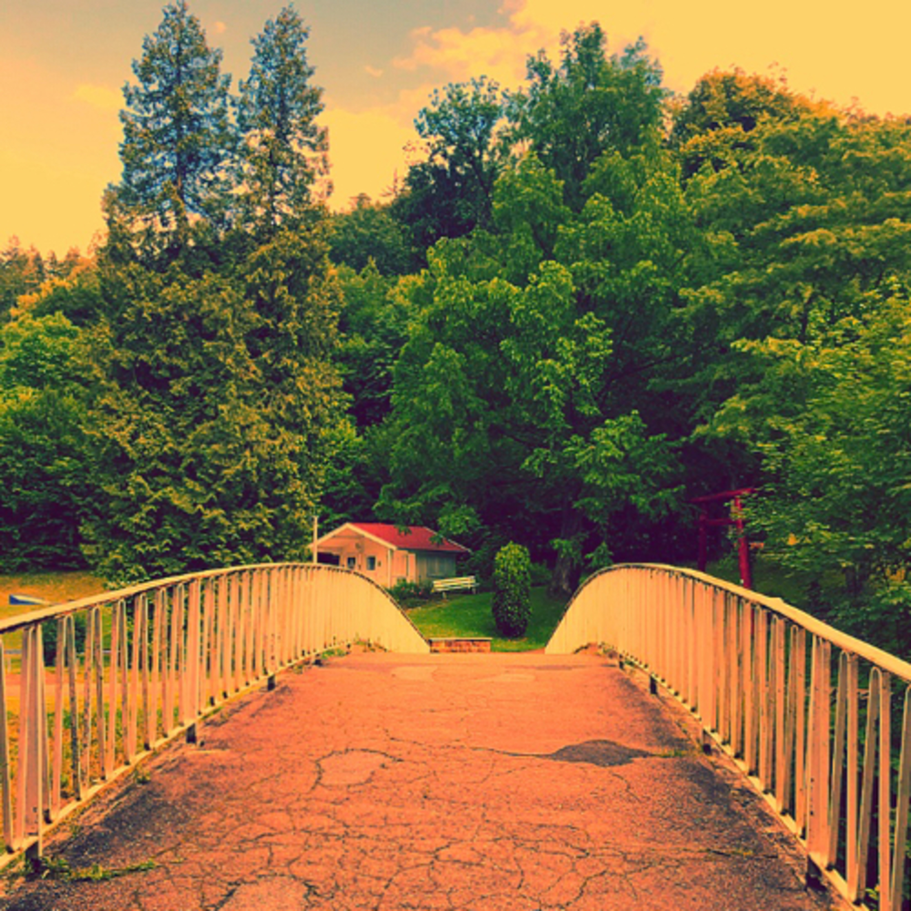 Entfalte Deine Seele