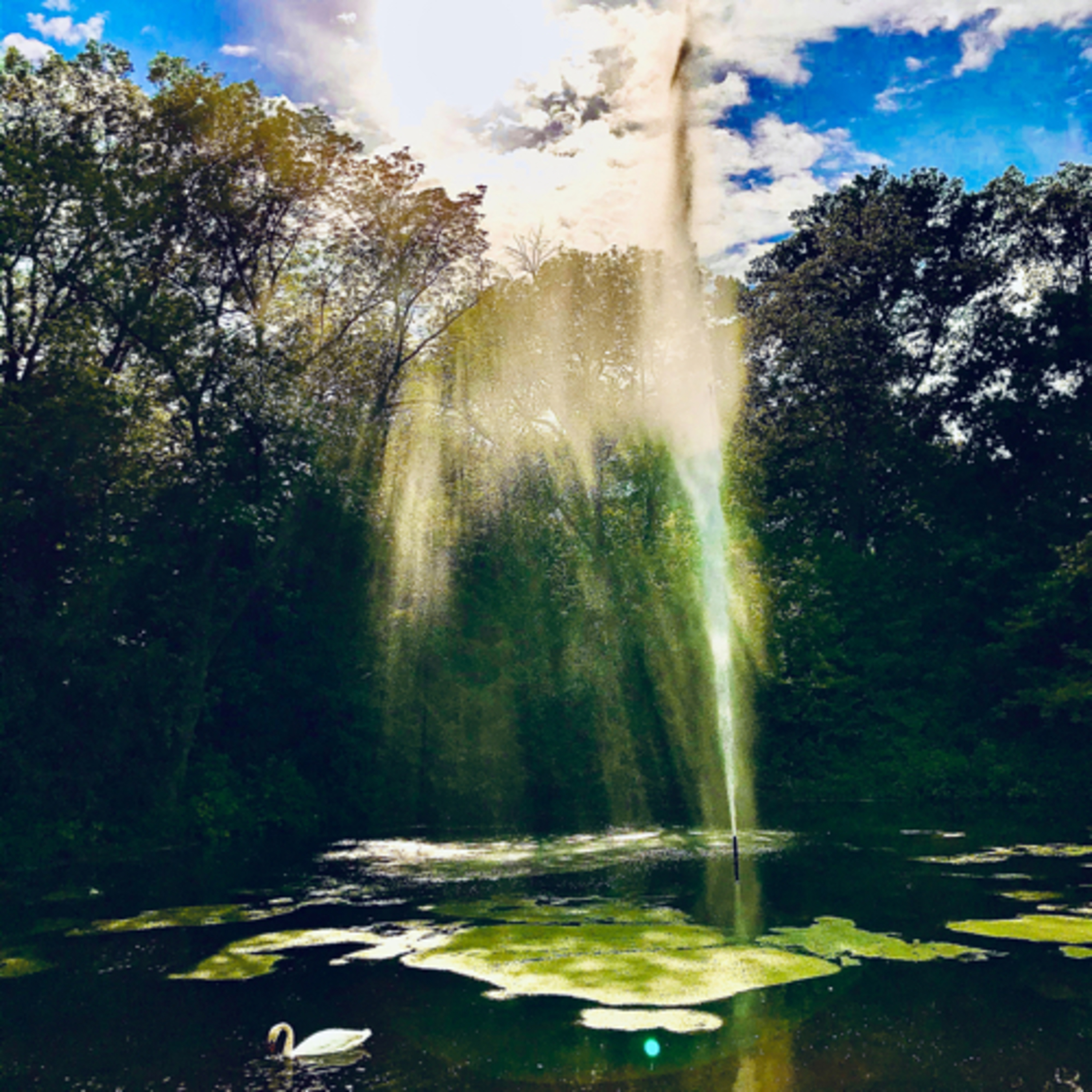 Entfalte Deine Seele
