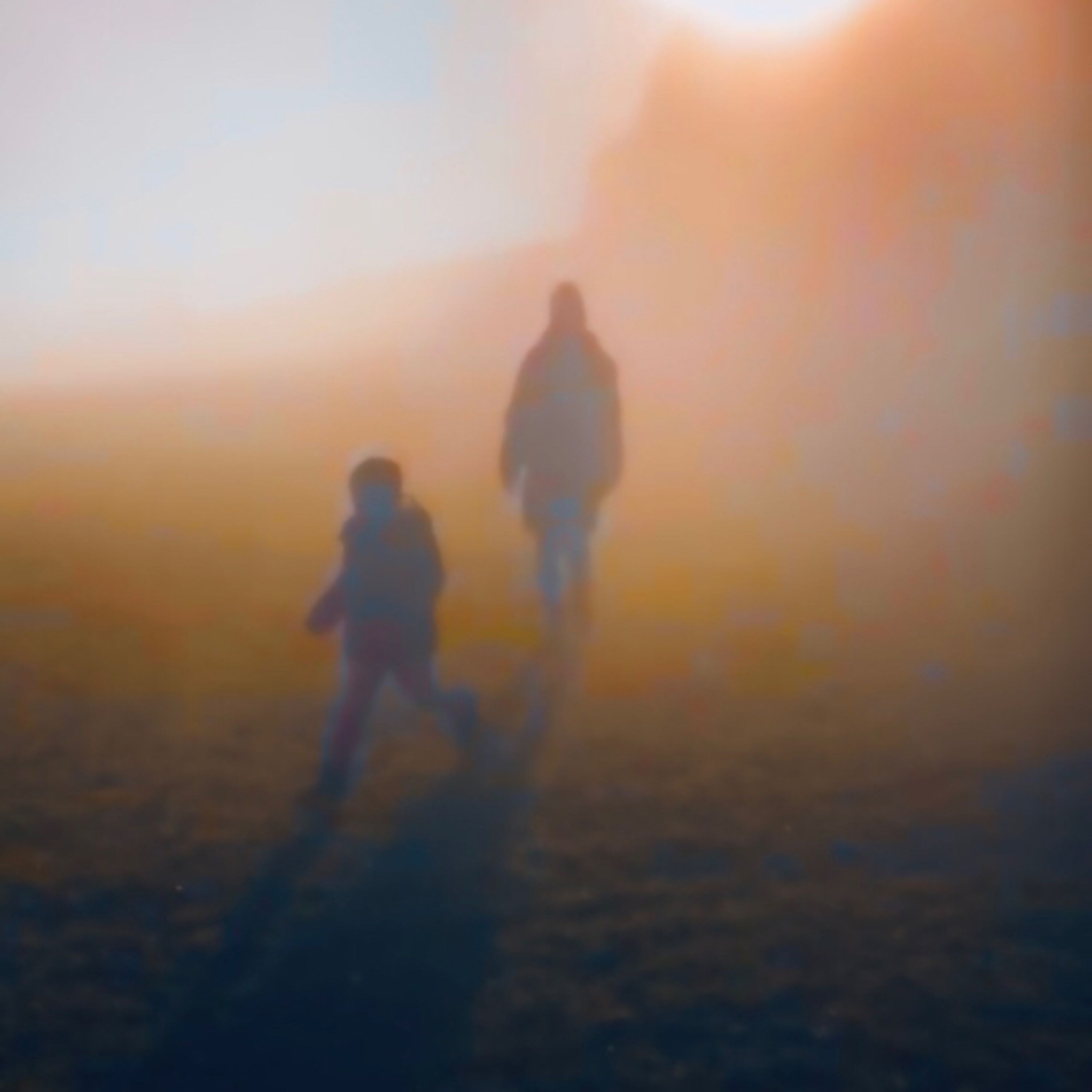Entfalte Deine Seele