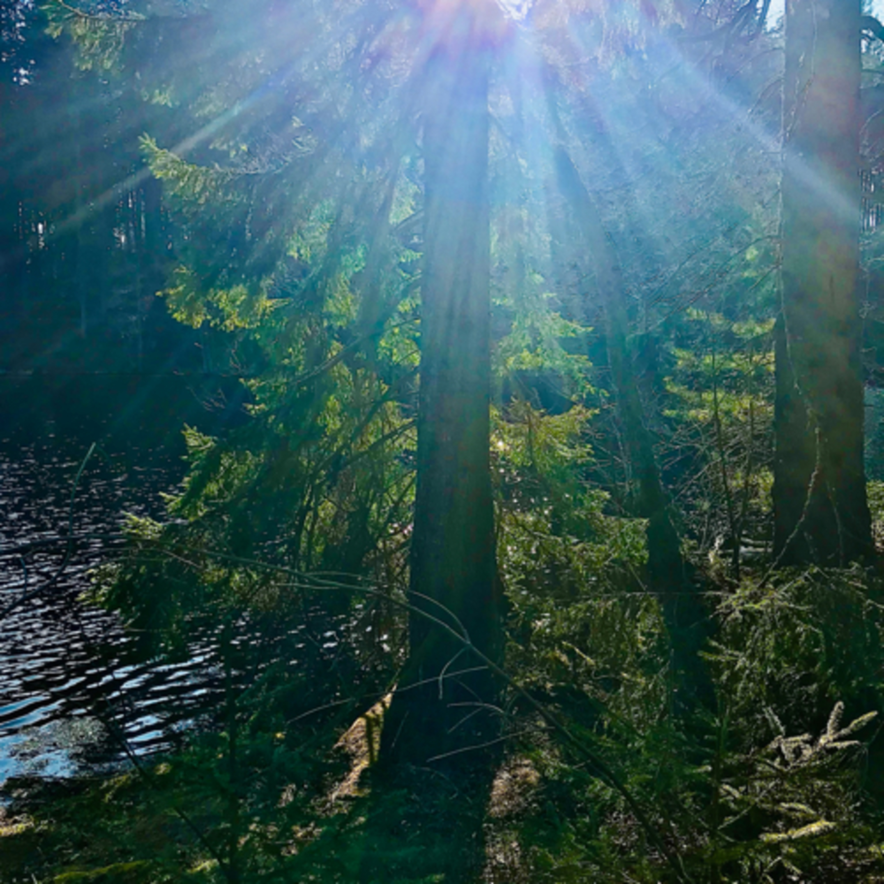 Entfalte Deine Seele
