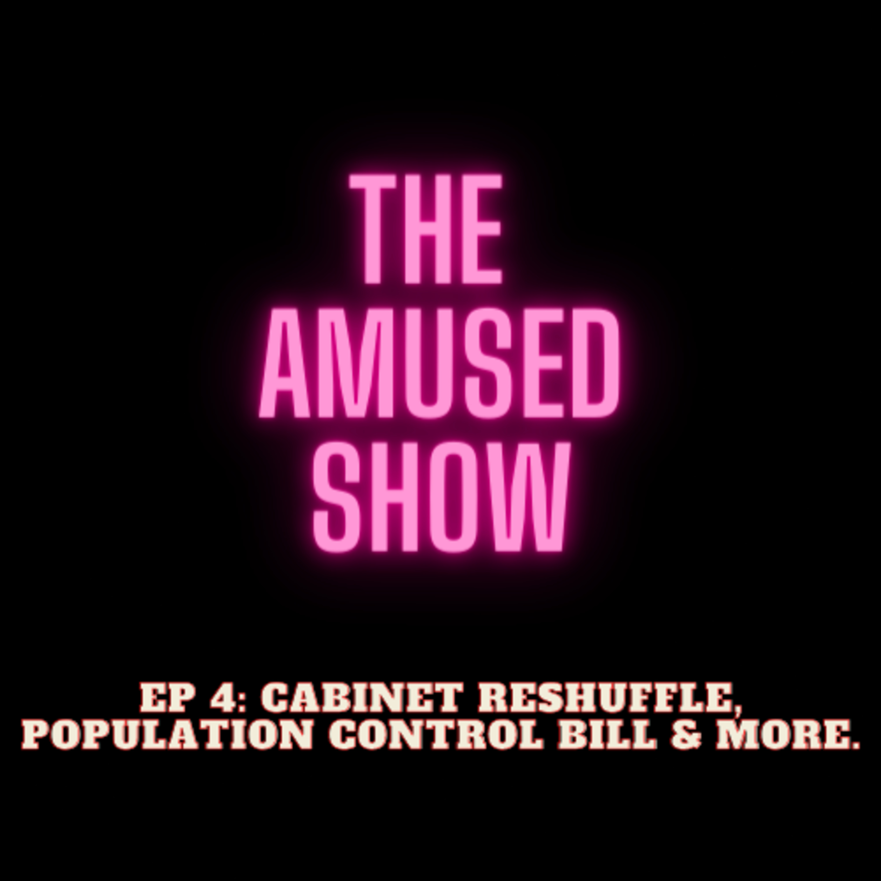 Artwork for The Amused Show