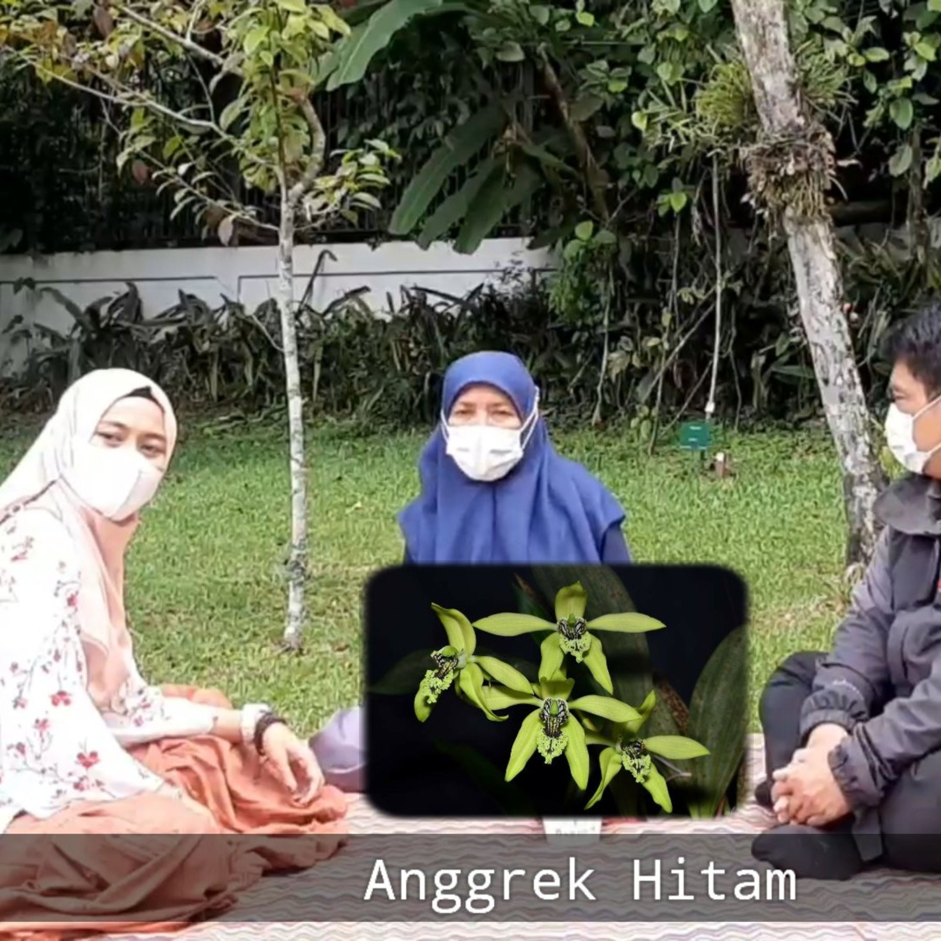 Tukang Kebon