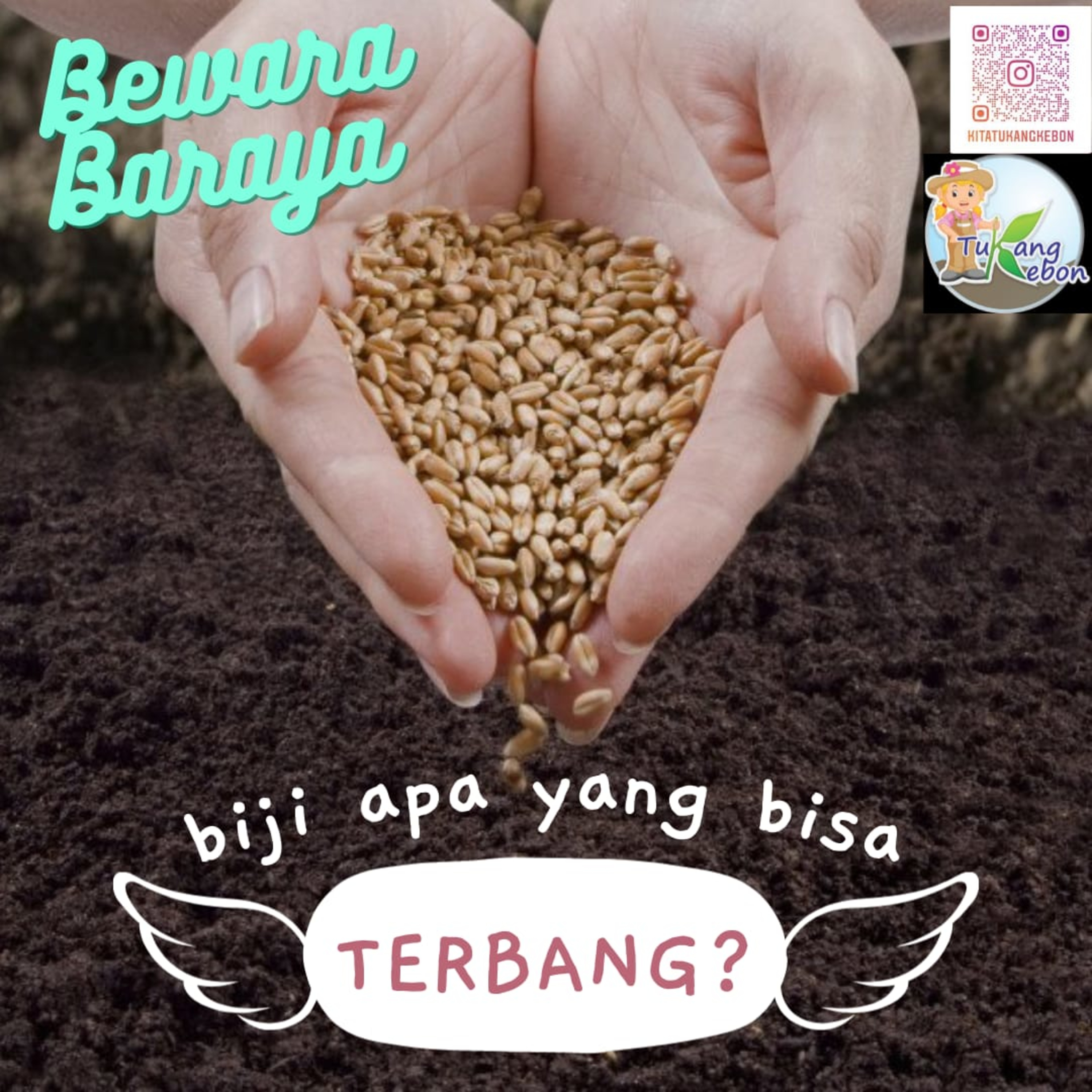 Tukang Kebon