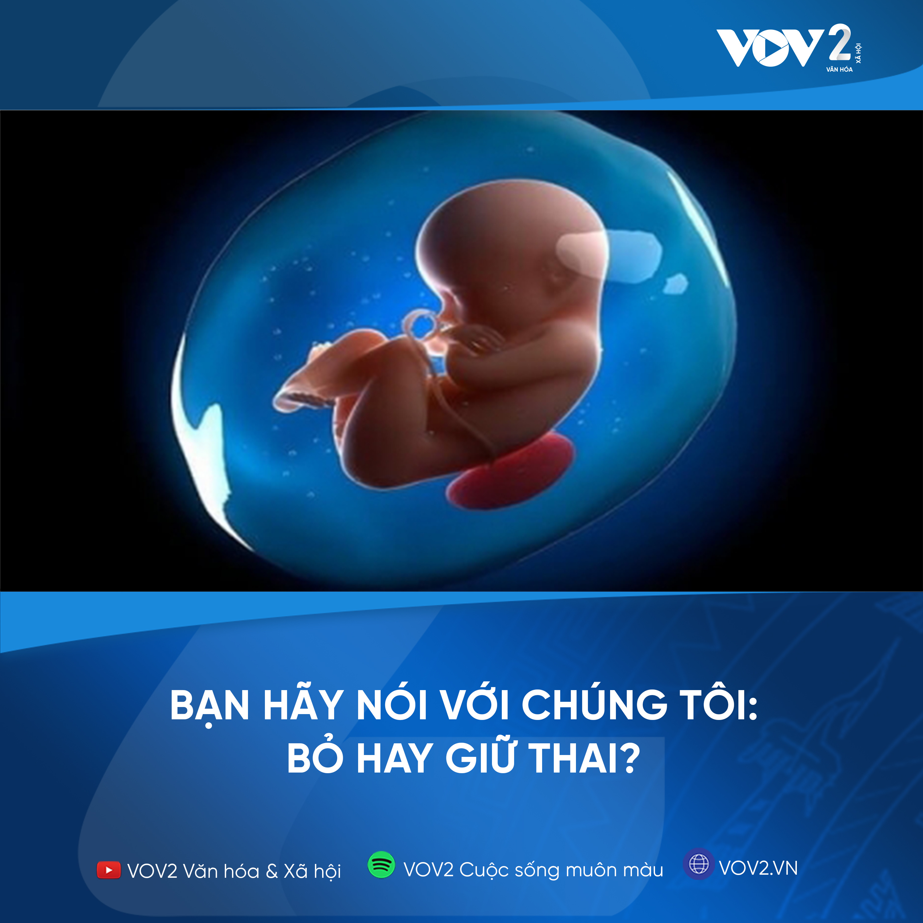 VOV2 - Bạn hãy nói với chúng tôi: Bỏ hay giữ thai? episode artwork