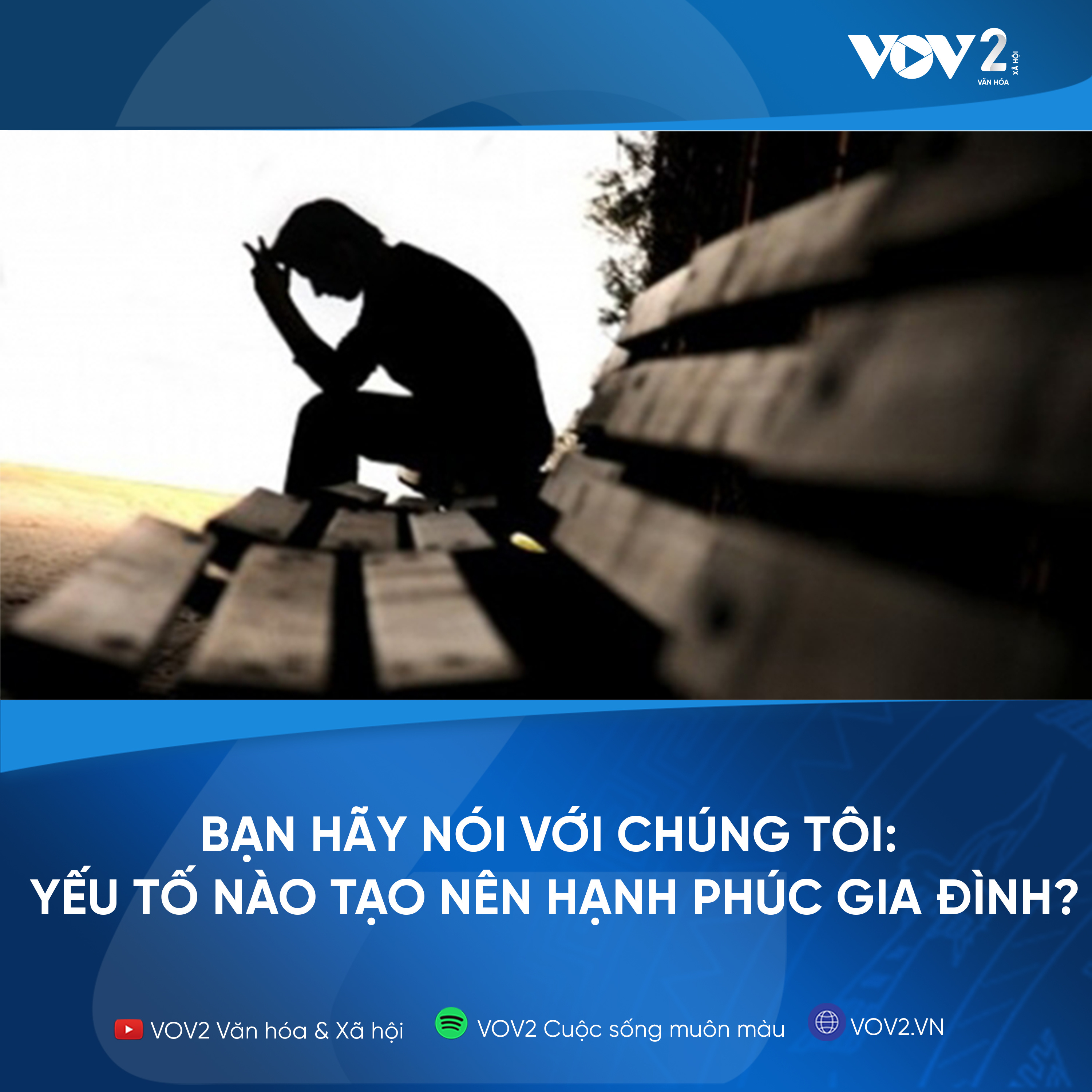 VOV2 - Bạn hãy nói với chúng tôi : Yếu tố nào tạo nên hạnh phúc gia đình? episode artwork
