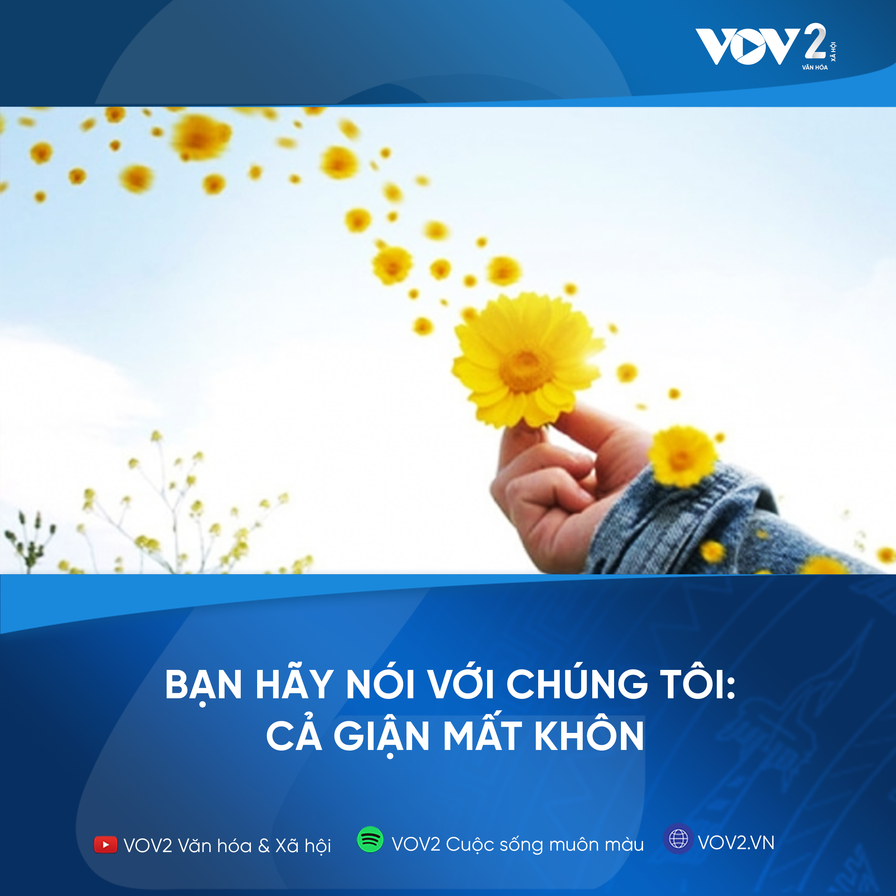 VOV2 - Bạn hãy nói với chúng tôi : Cả giận mất khôn episode artwork